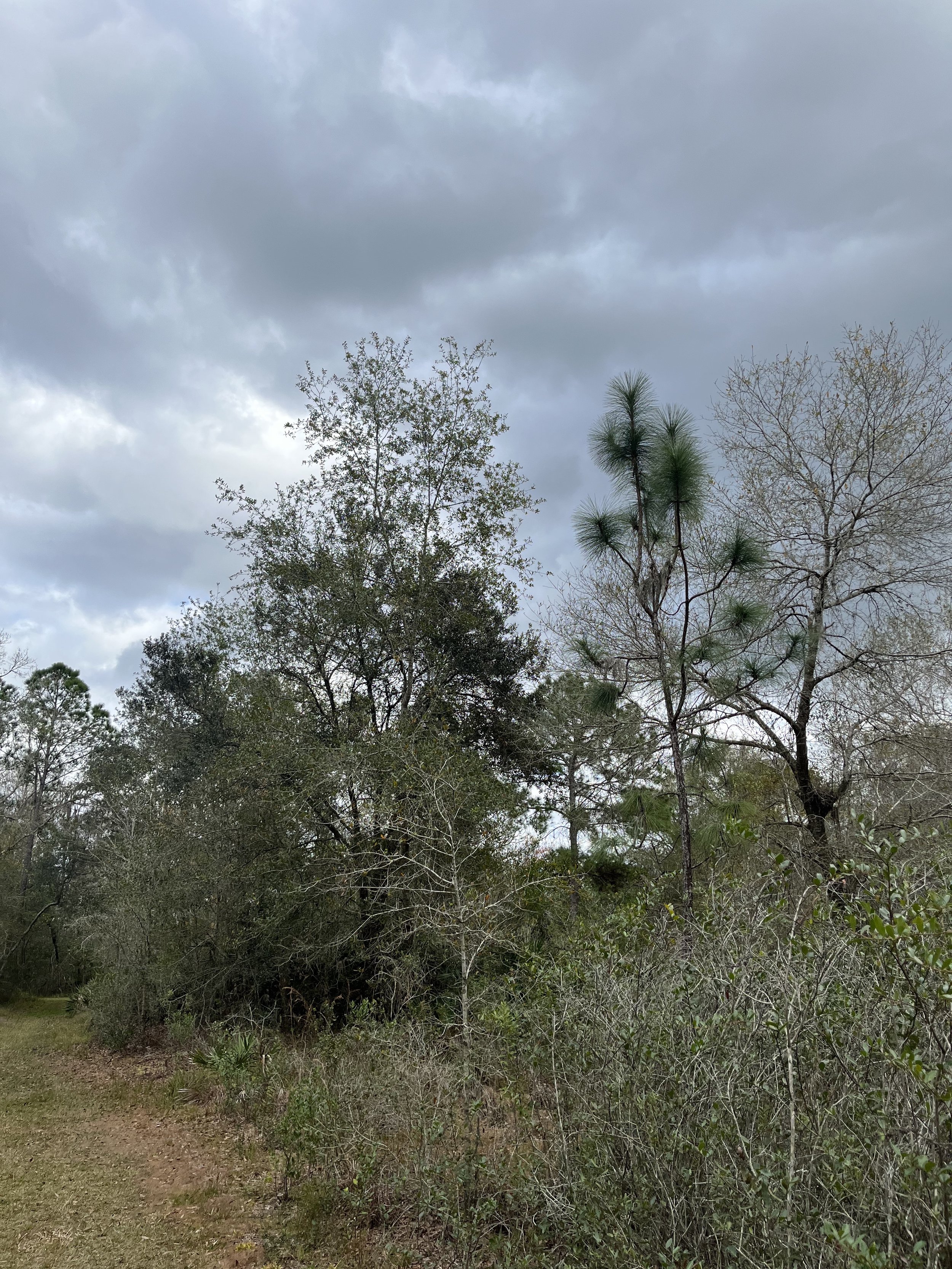 The Antidote to Worry