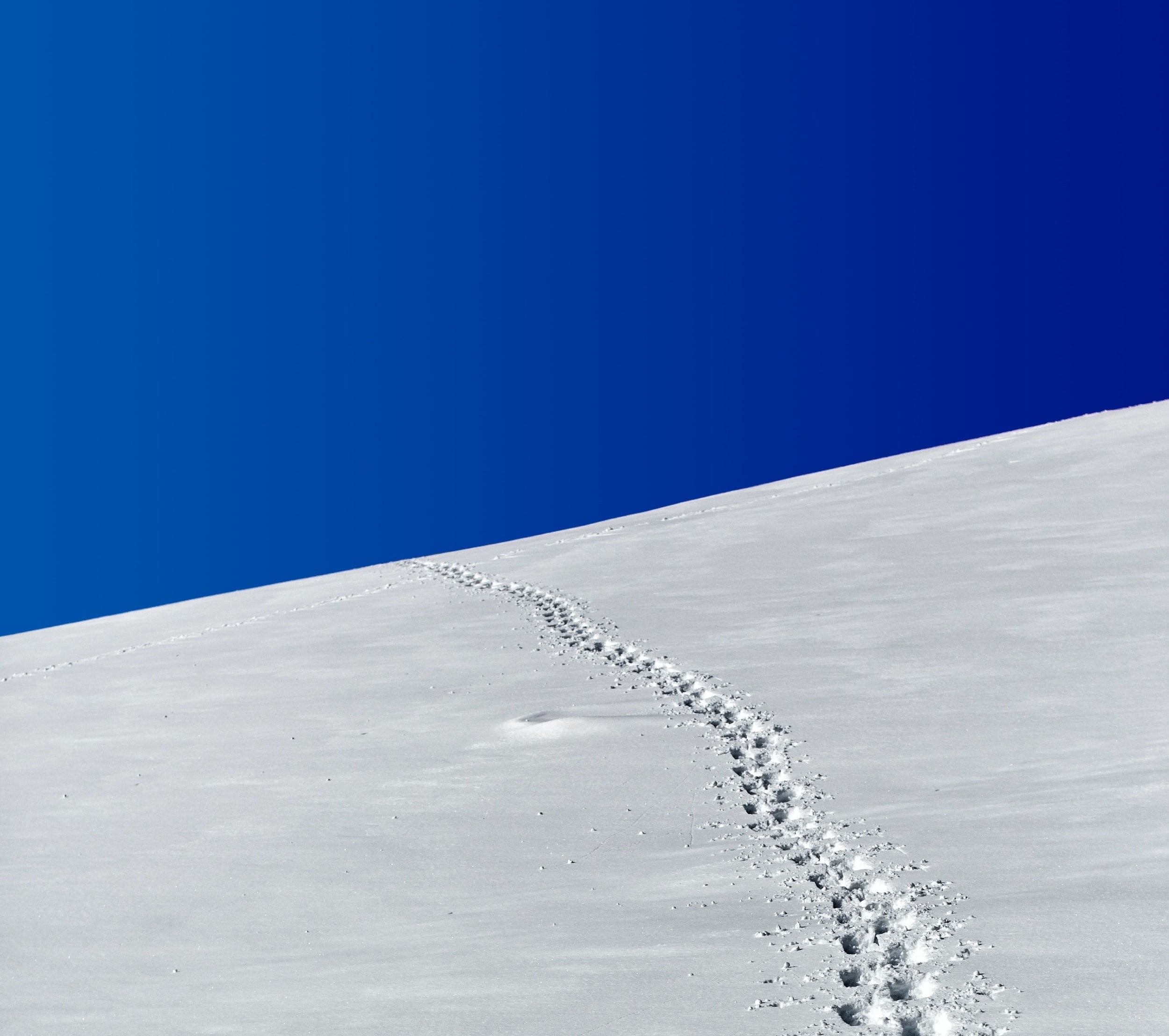 Follow the Tracks