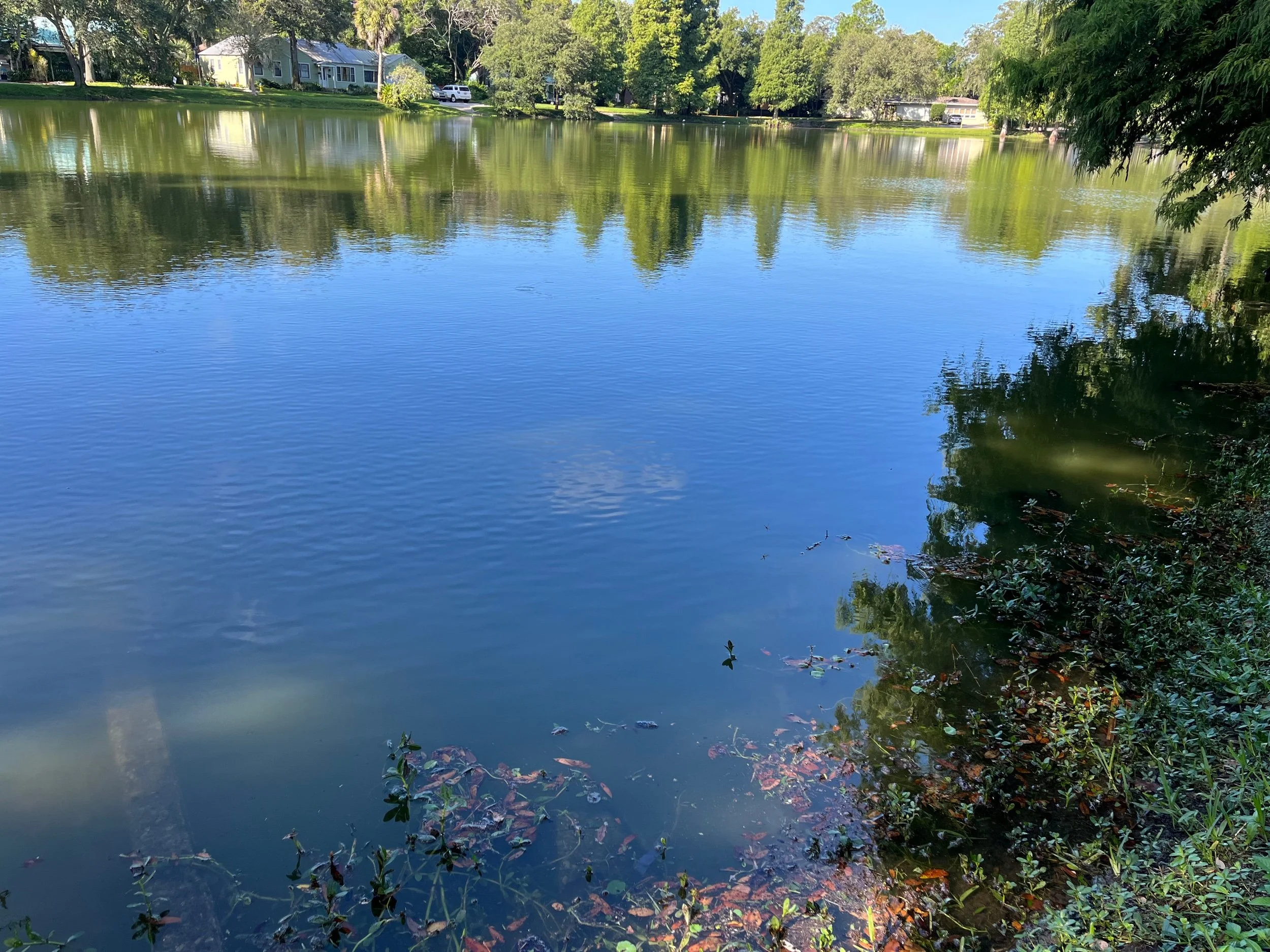 The Lake of the Mind