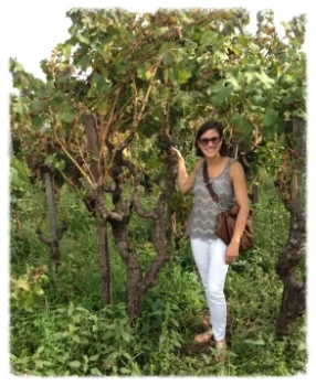 Mt. Etna, Sicilia - approximately 200 year old, pre-phyollxera vines currently tended to by Salvo Foti. October 2013