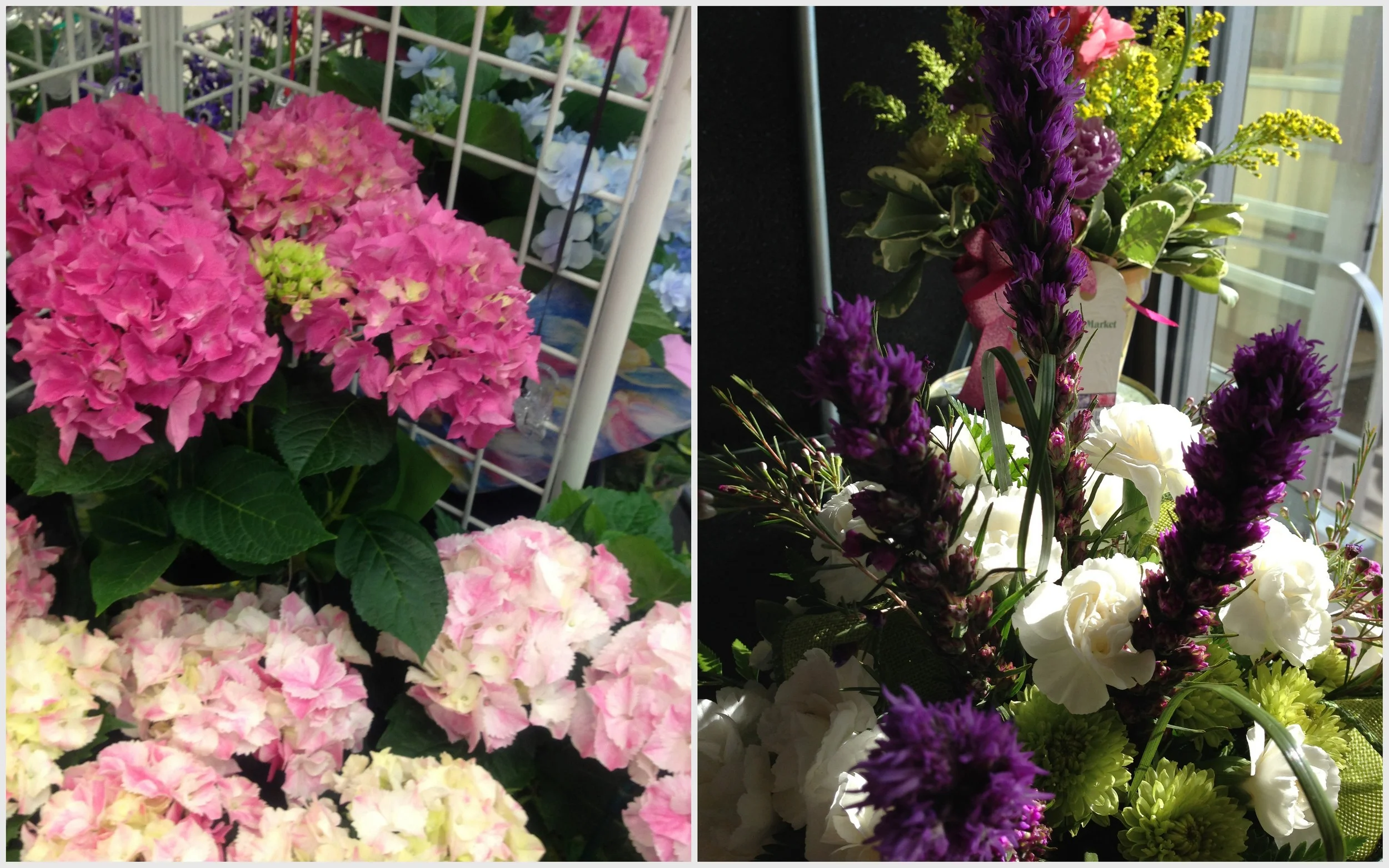 flowers collage.jpg