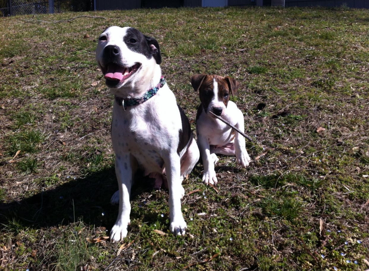 Gracie and Tigger