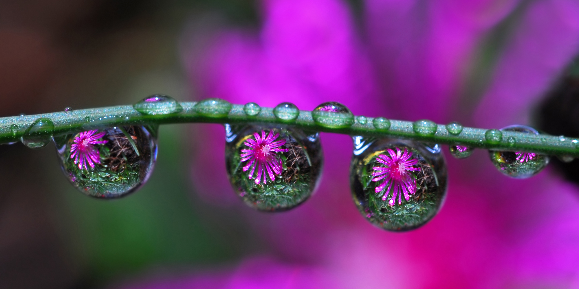 Photo by: Steve Wall