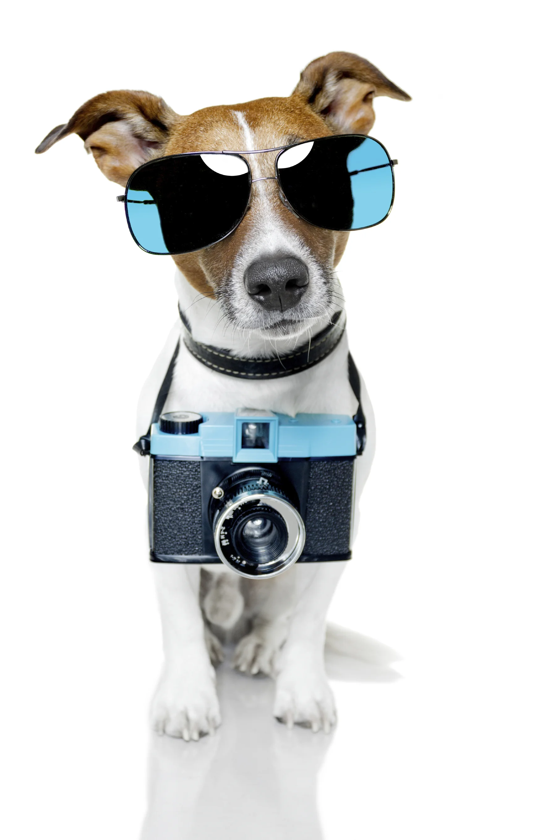 iStock_000019438913Large.jpg