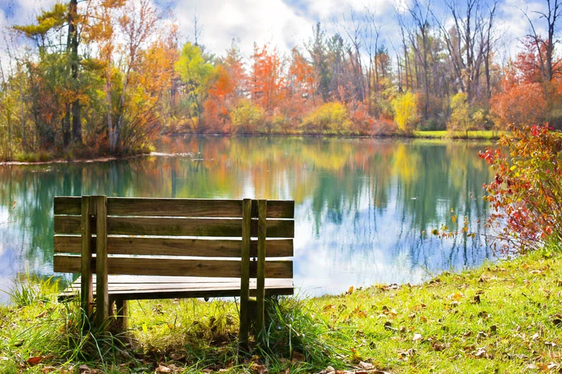 wood-bench-986347.jpg