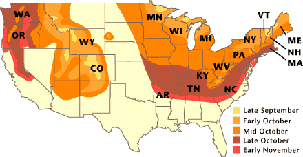 foliage map.gif