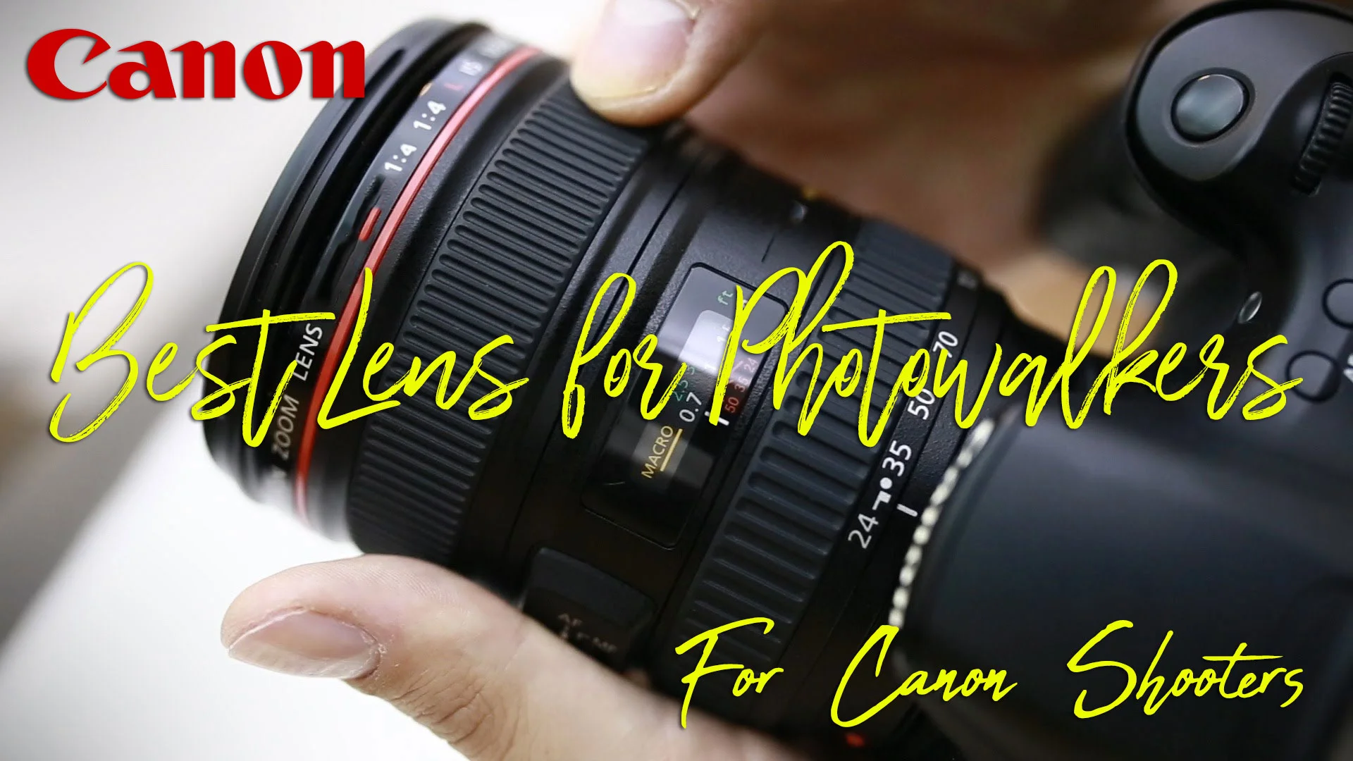 BestLensPhotowalkers.jpg