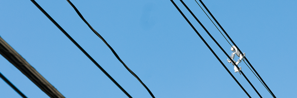 WONDERAWE_100511_026.jpg