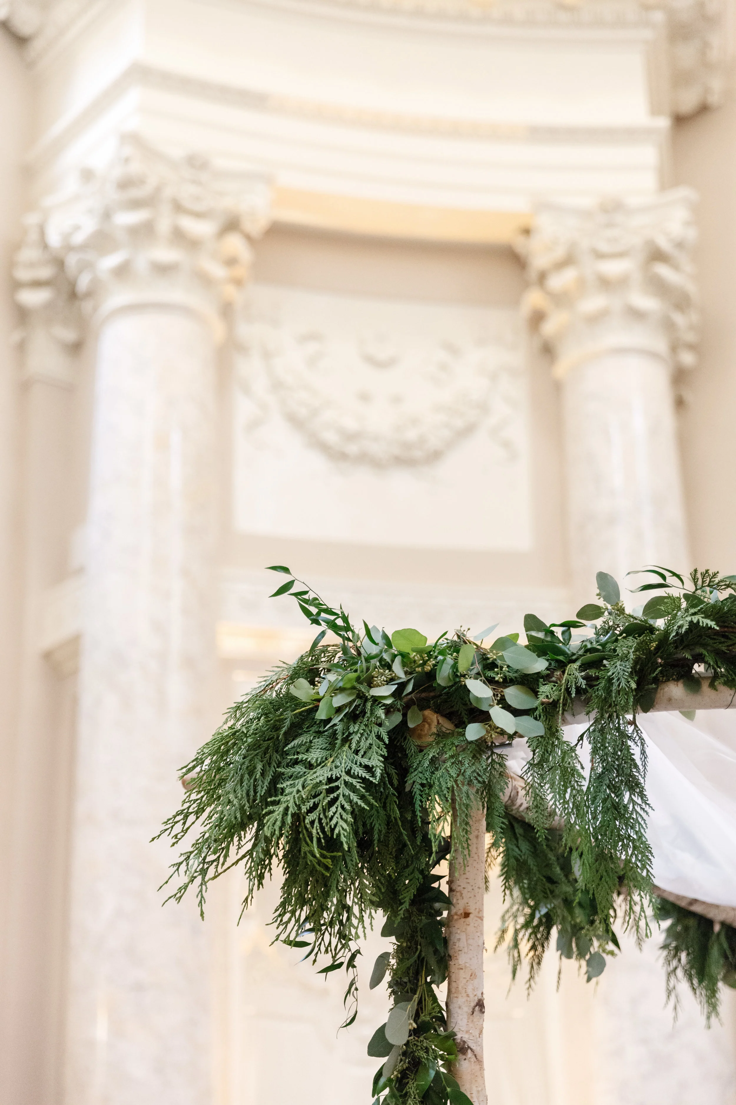 Stephen Bob Photography | Carnegie Institution for Science