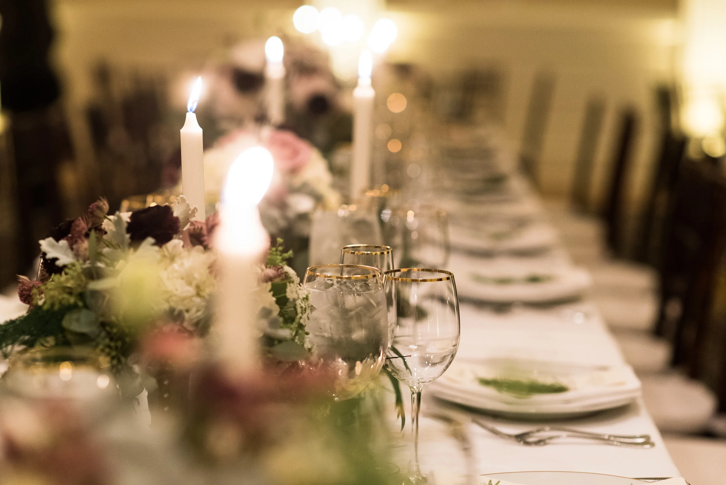 Shandi Wallace Photography | Carnegie Institution for Science | The Plannery