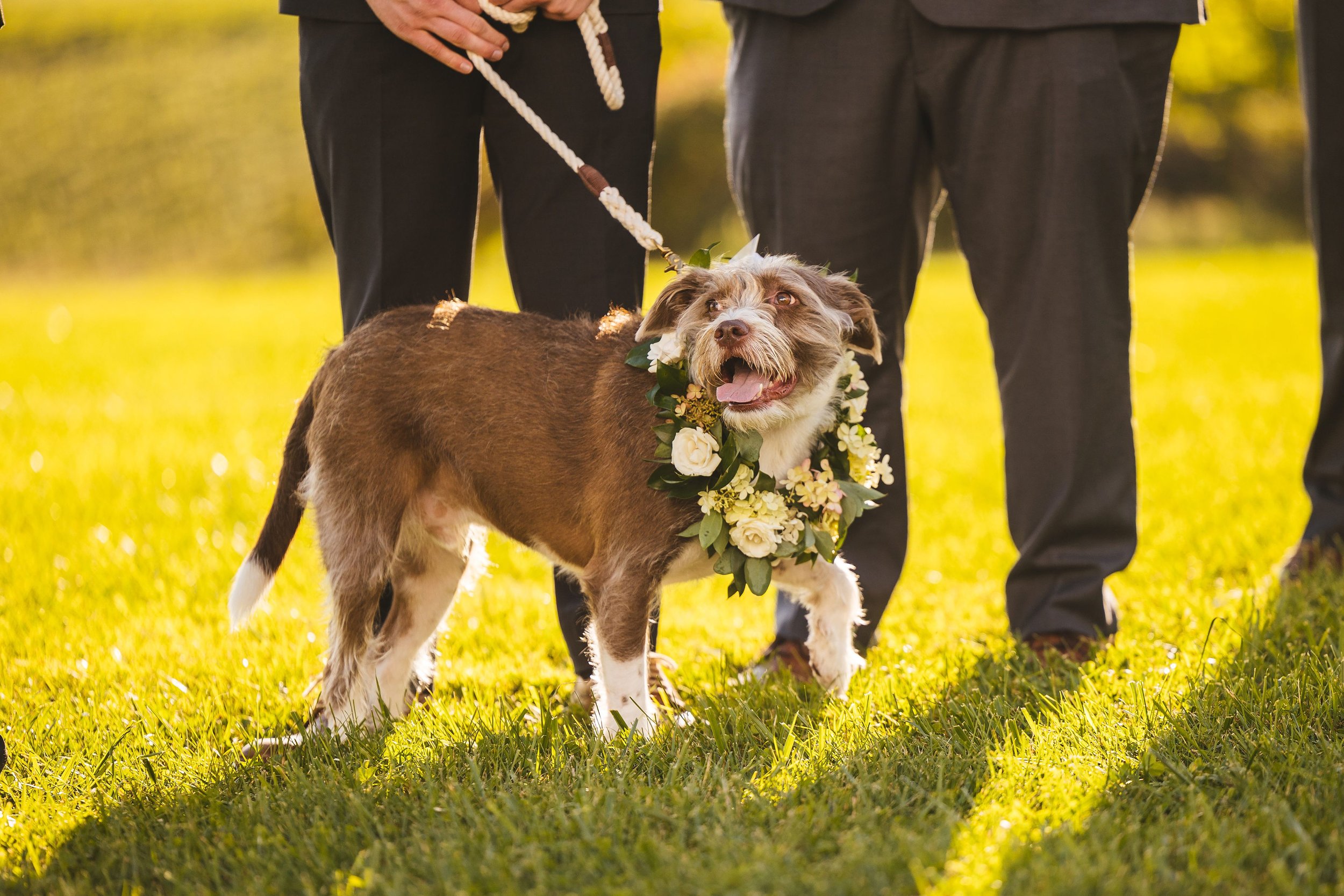 Ceremony_Paige&BradWedding-68.jpg