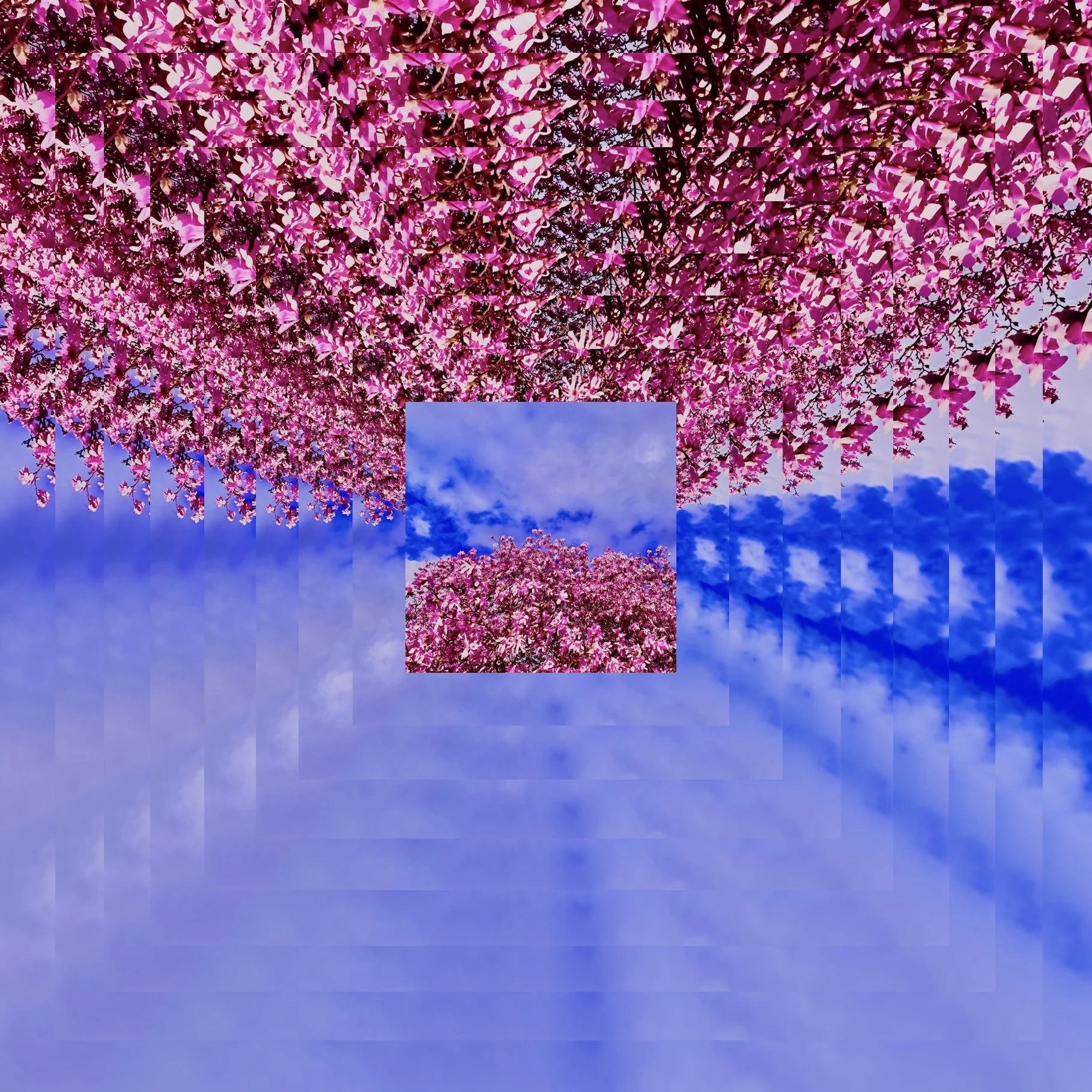 one mill 2nd try.jpg