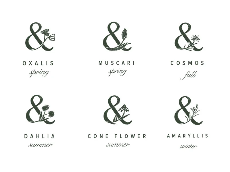 lp-04.jpg