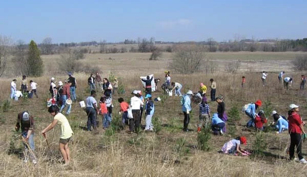 Trees to mark the celebration!