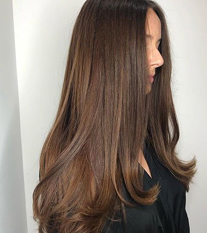 wellapro_blog_chestnut_brown_formula3.jpg