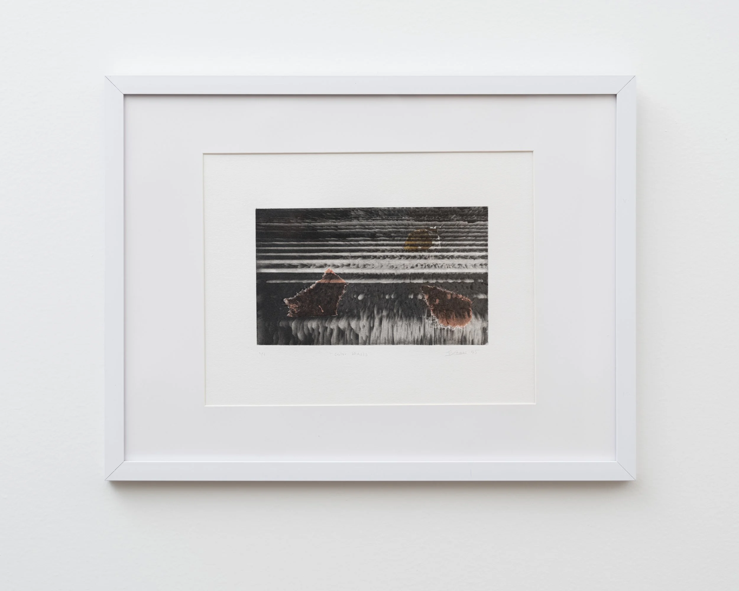 Color Blasts
Photopolymer intaglio with chine collé
15 x 11 in
2025

Photo: Farfar Studio