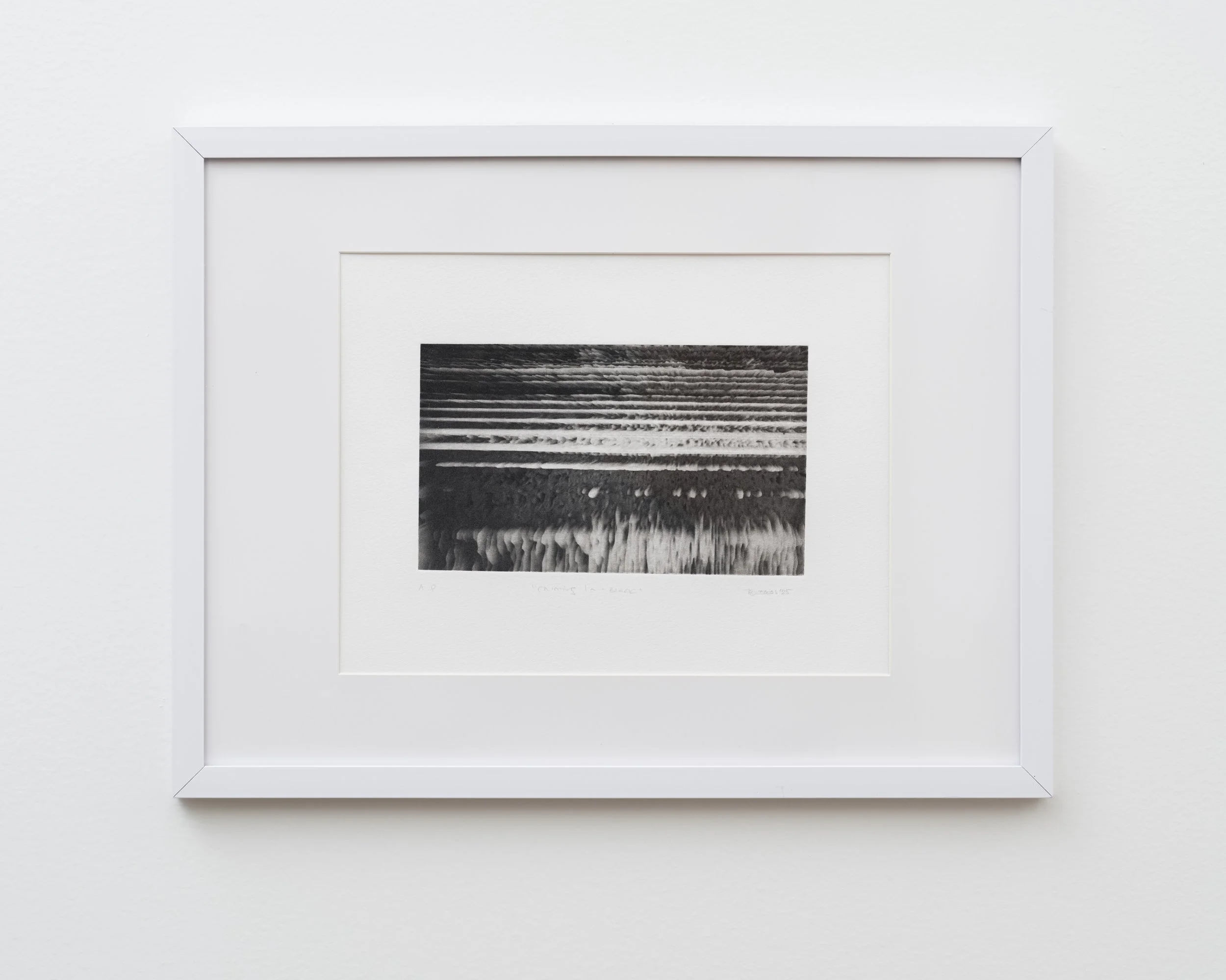 Chiming in - Black
Photopolymer intaglio
14.5 x 11 in 
2025
Photo: Farfar Studio