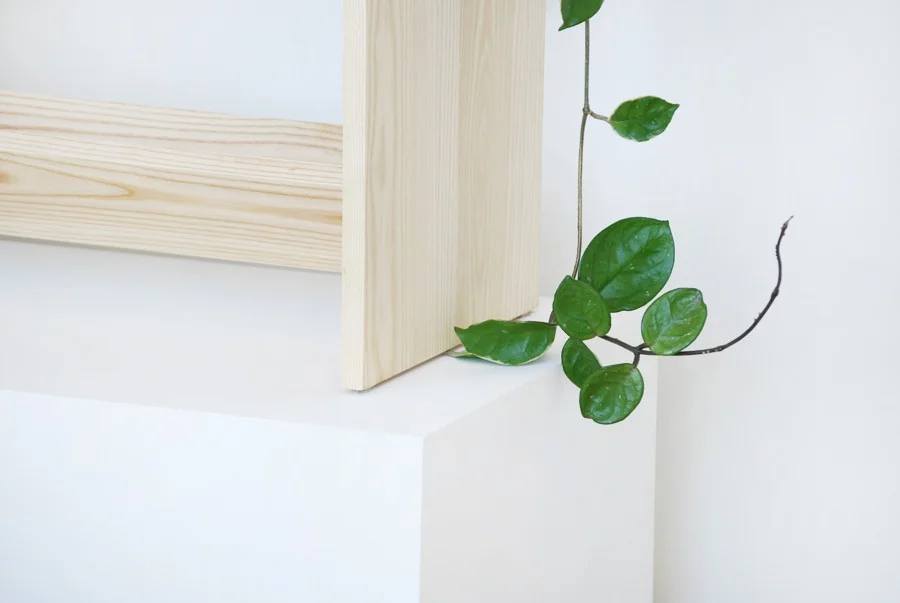 ASH-DETAIL-2.jpg