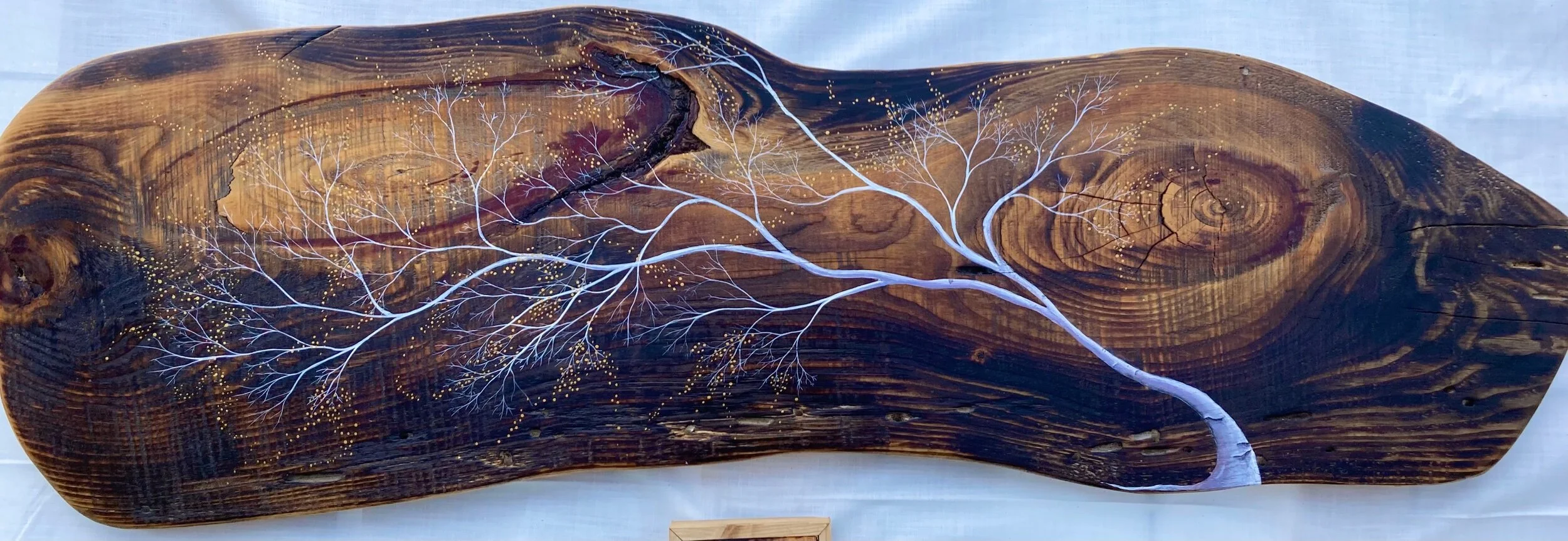 7AFFFF1A-AECD-4CF4-AE66-C258F62CCADB