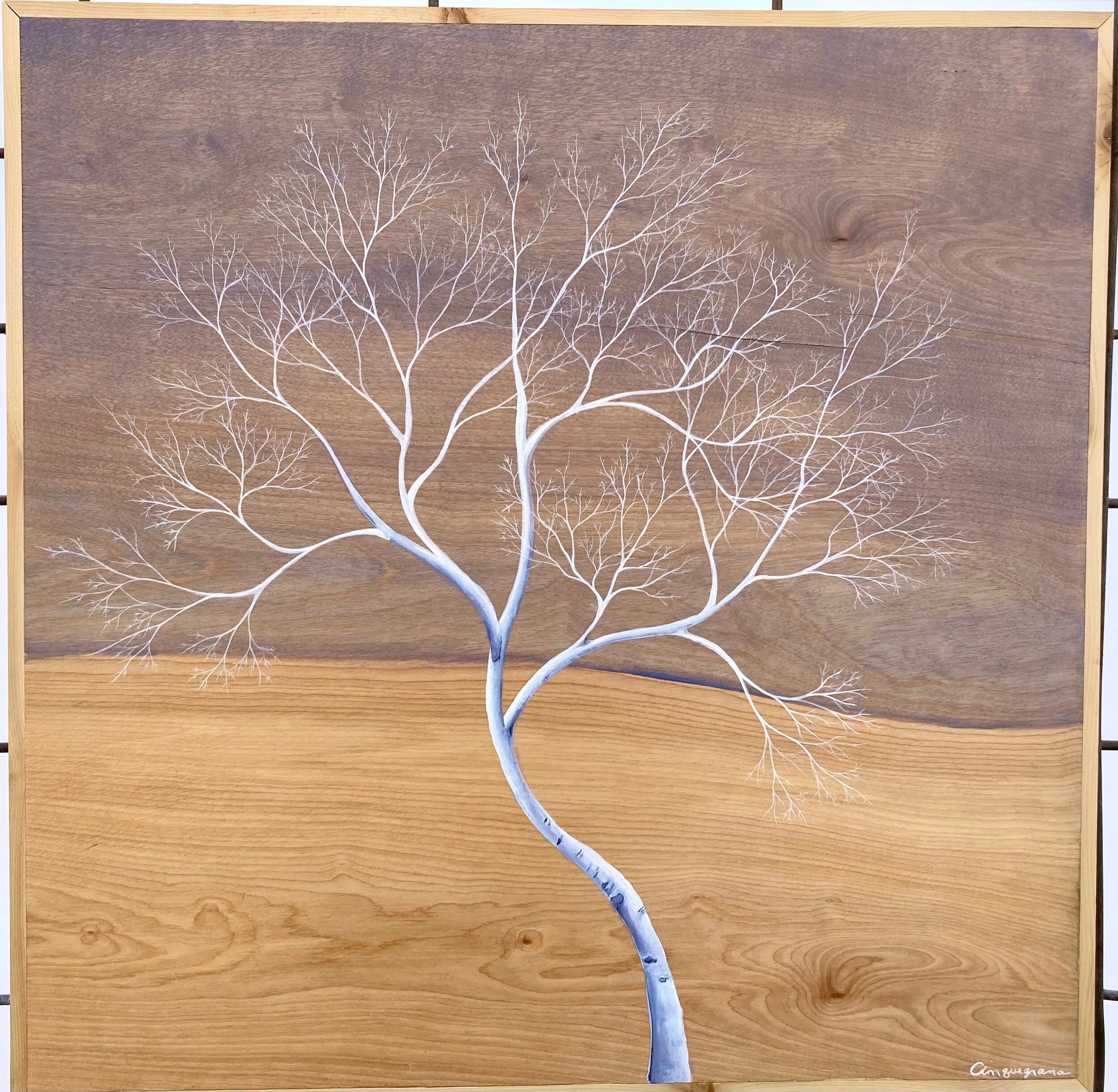 09C3AFE1-C391-4D34-8D3A-BD3A63E45A66