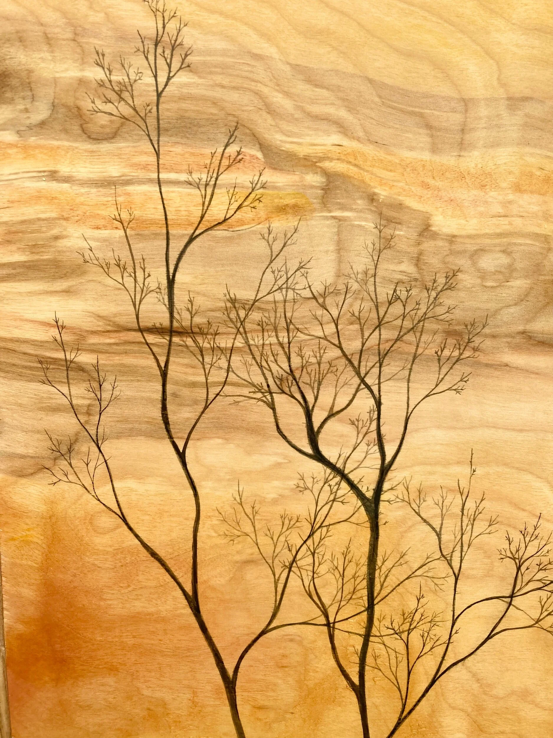 8E0BEED7-BB06-4D8D-A12E-BBD3A27C7AEF