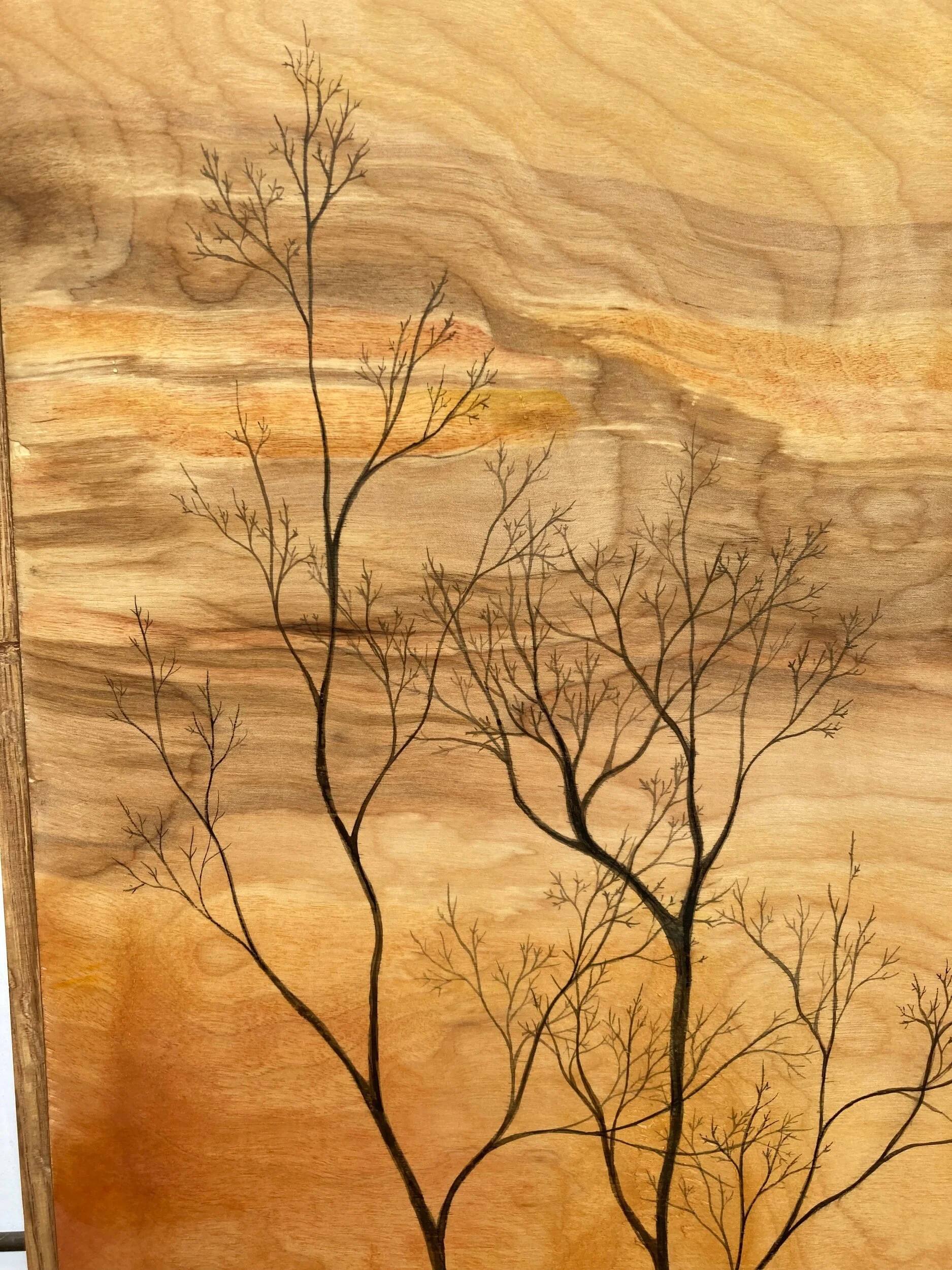 5B561C3C-0E59-4E71-A46C-760CC5D34E27