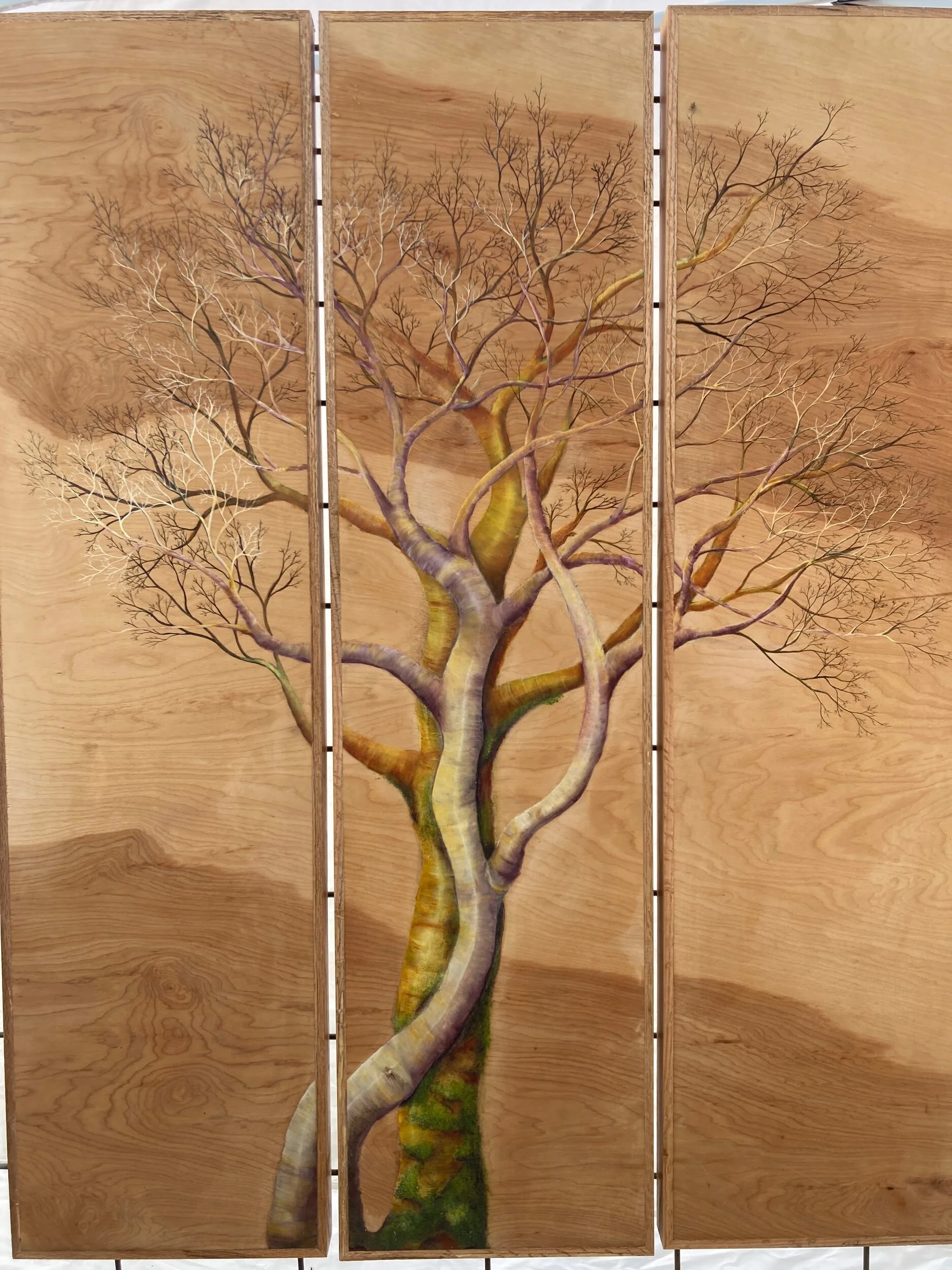 3F48AAA2-F959-4EFB-8C38-6E6DEBF4B5DD