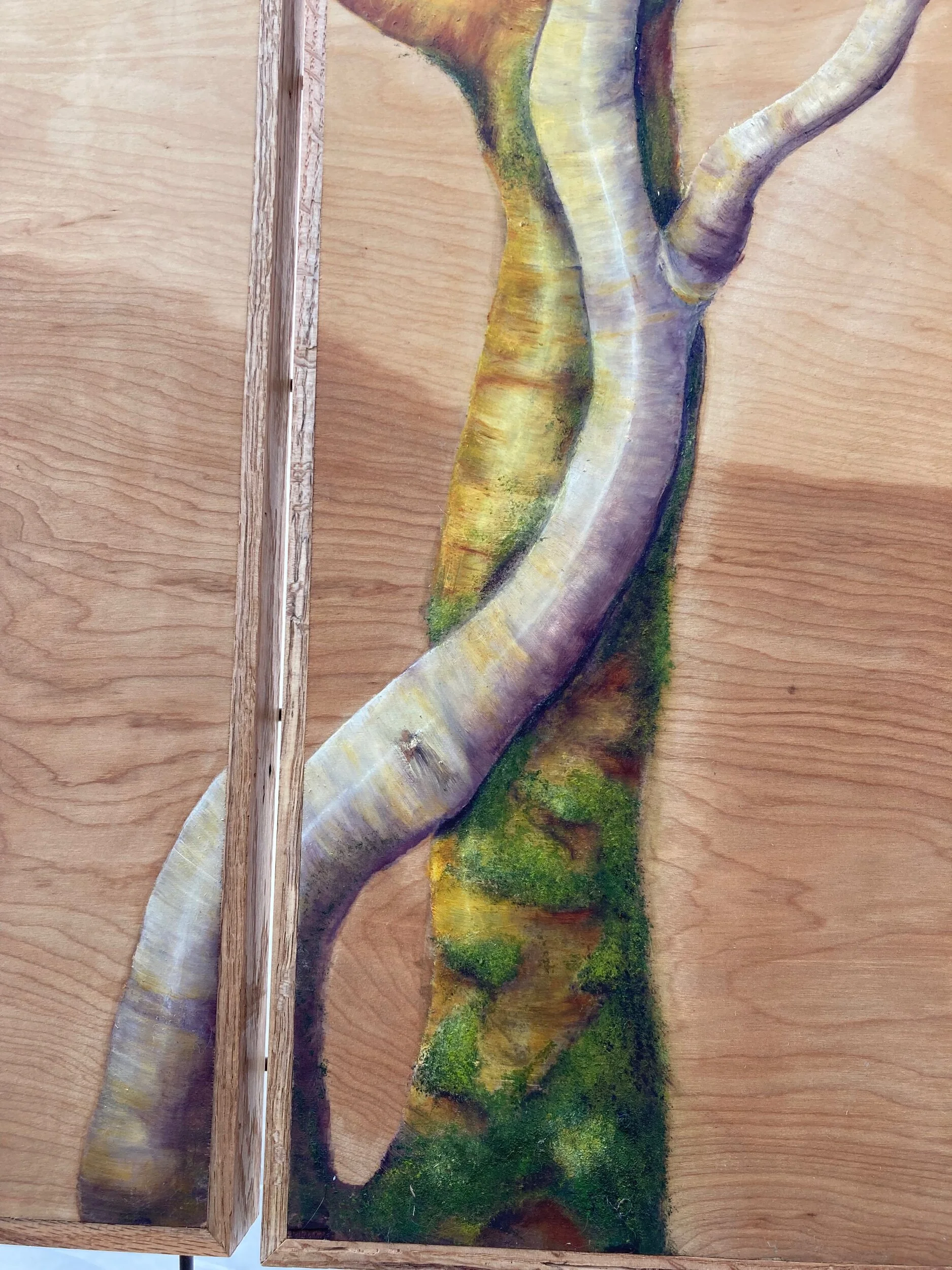 381425A4-ED0E-42D0-A00B-7FD6586BA21E