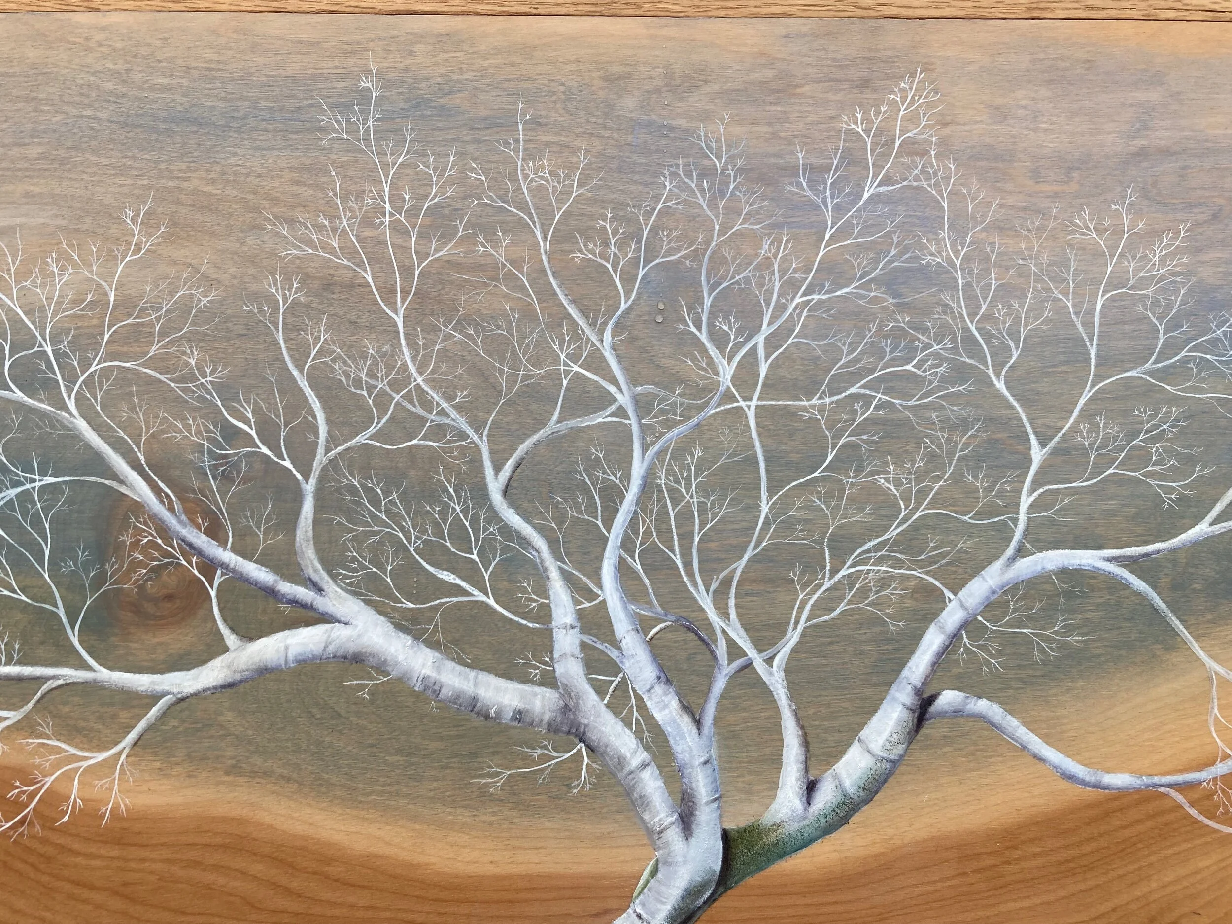 BE4ED8DA-90C5-45A2-BDF3-EF107DAD057B