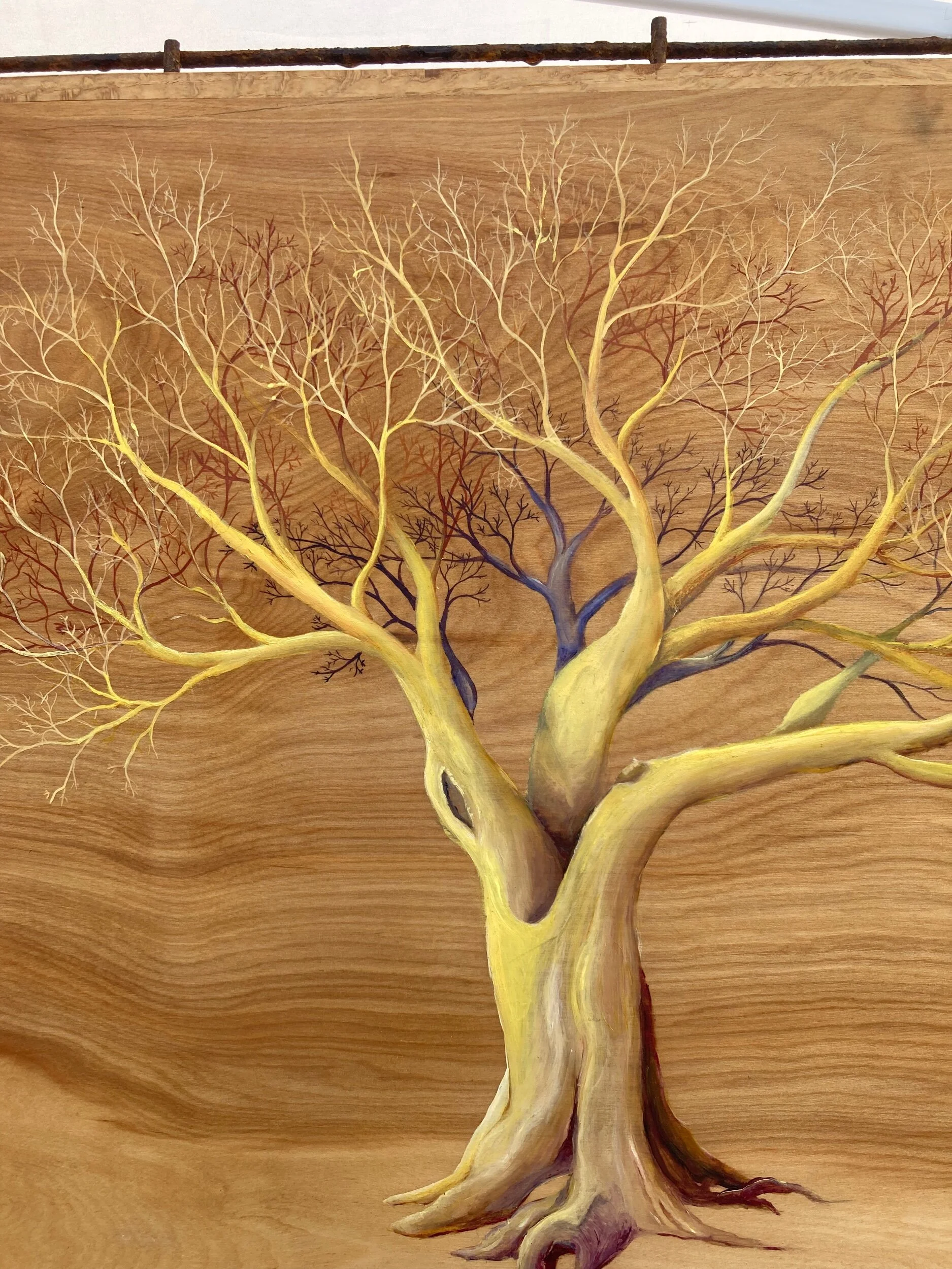 C76B73AE-C25F-4E6F-AC1C-03FDA8C8E5EB