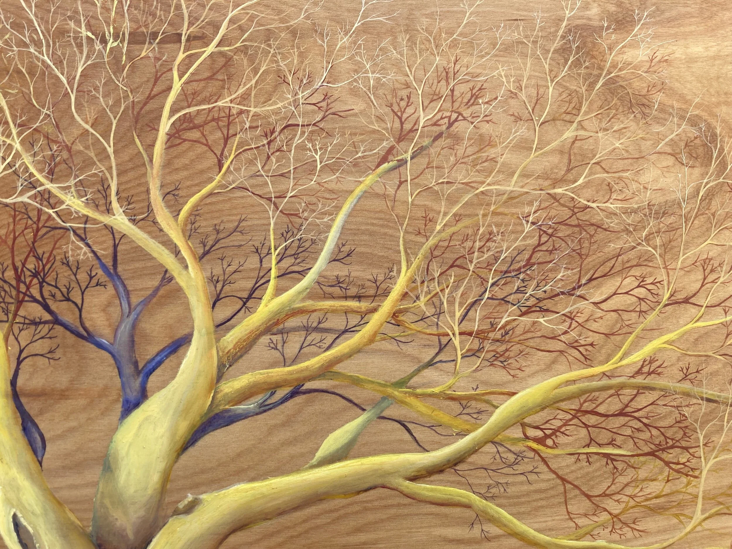 8703C07F-7497-4297-AF90-9C608B019AB8