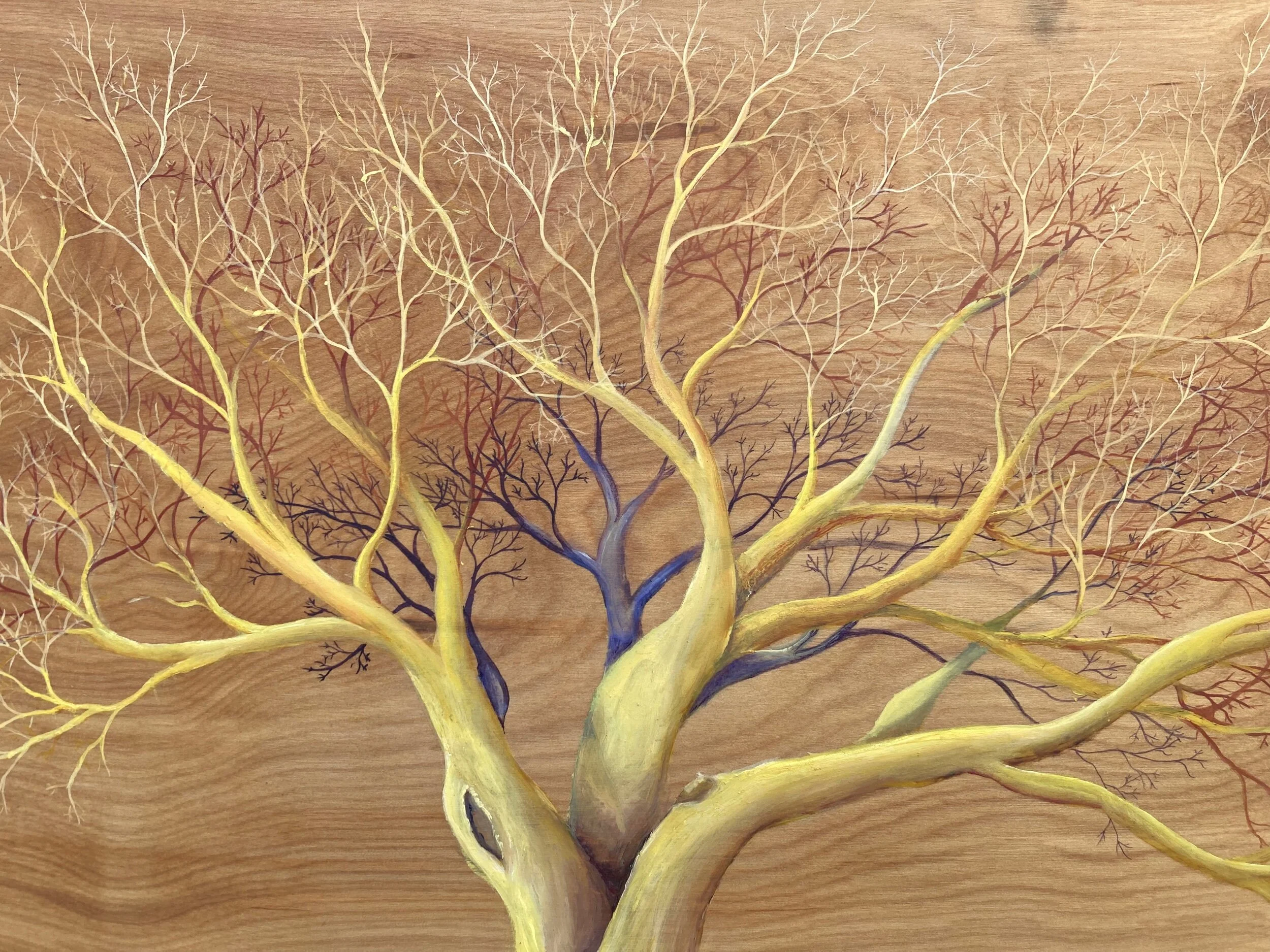 8BD3A2B5-C827-48F6-89C8-9DE54444556D