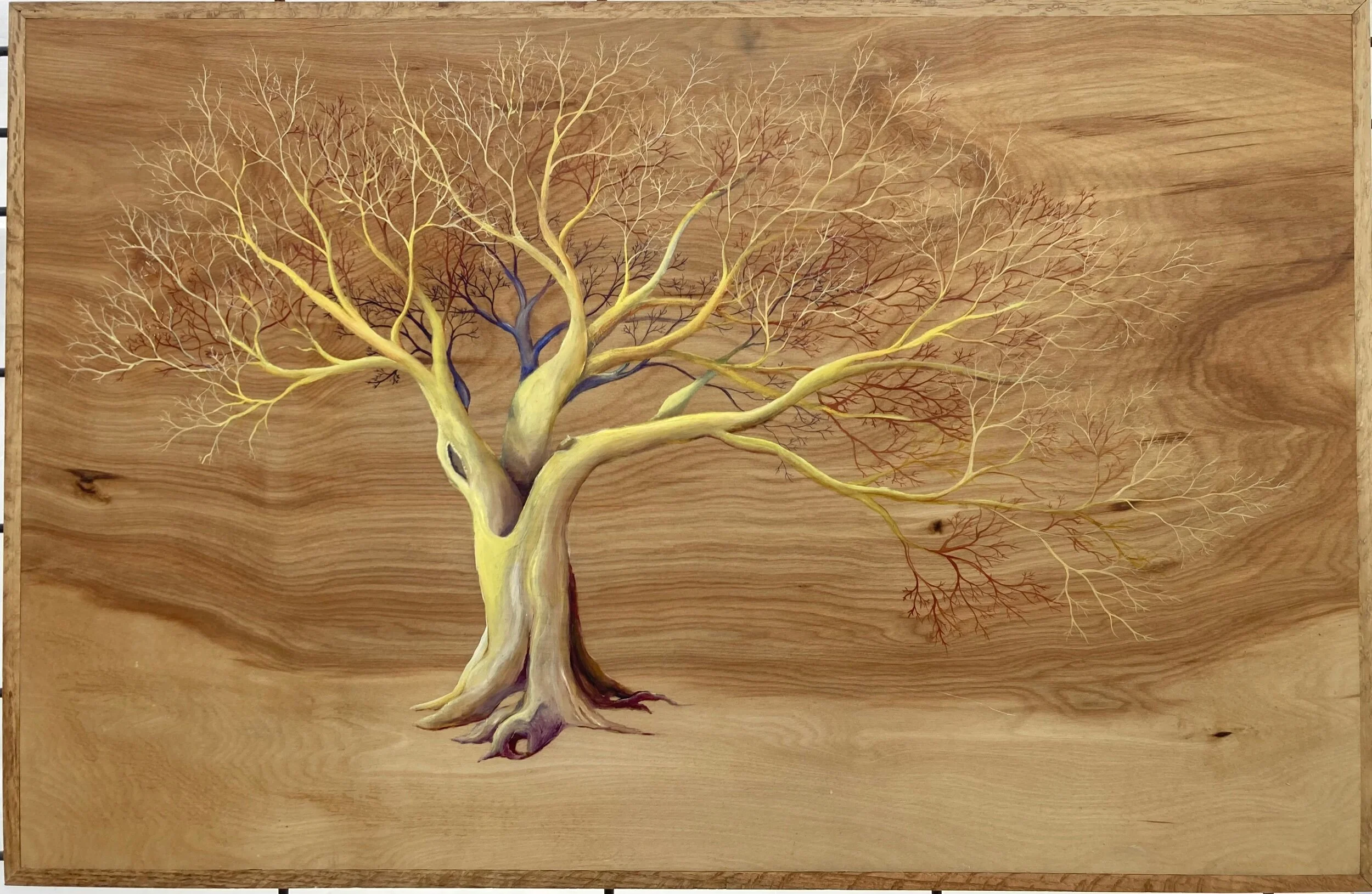 81D15F60-F077-48C2-B4C1-535BB214DDE3