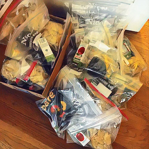 Anneka and Aidan sorted foods in baggies and ziplocs; Angelena lunches for days! She just has to grab one in the morning and toss it in her bag. This is an incredible stress reliever for me as we are usually panicking in the morning wondering what o…