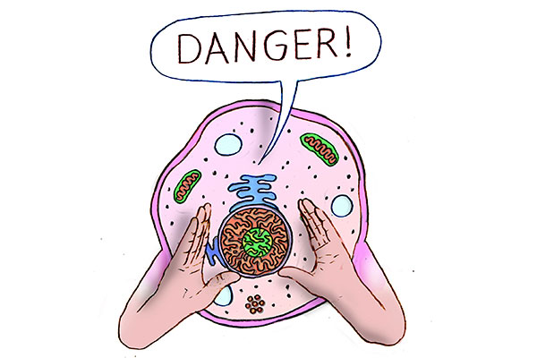Immune-Rally-Cry-banner.jpg