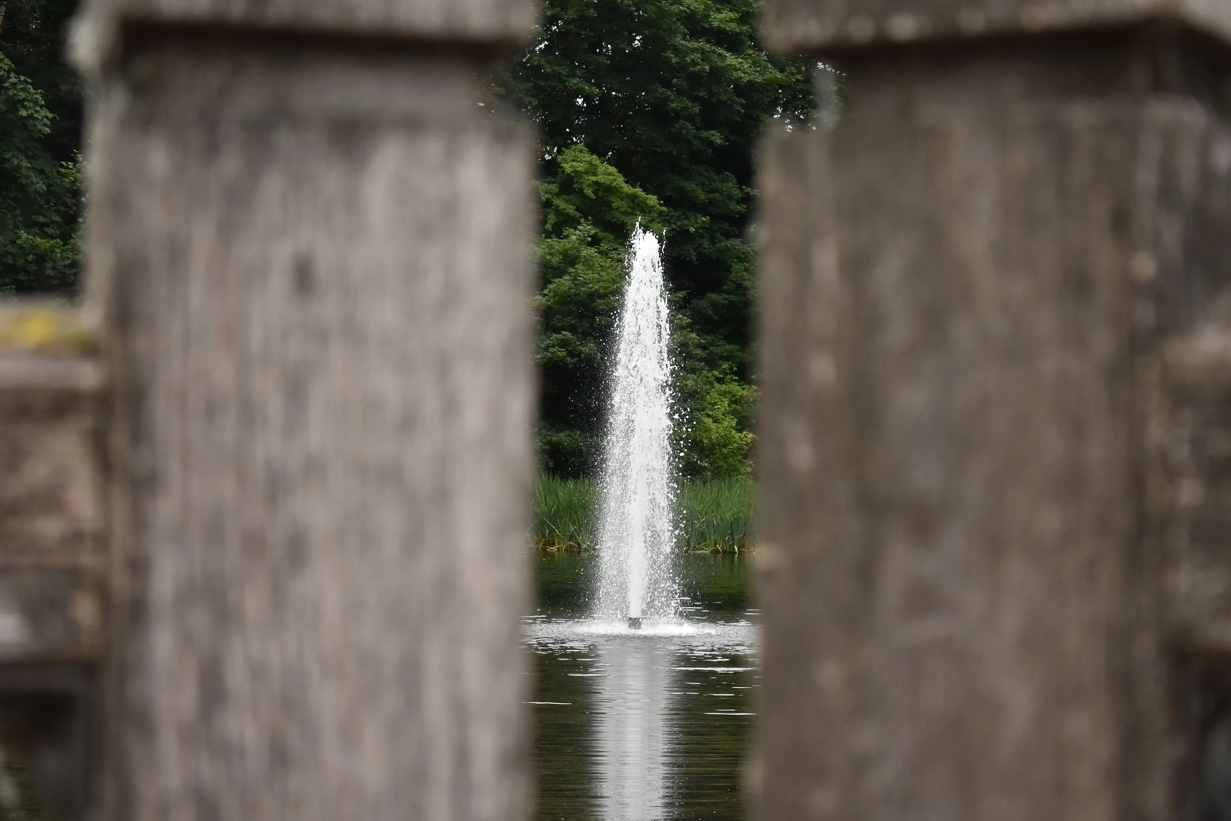 DSC_0136.JPG