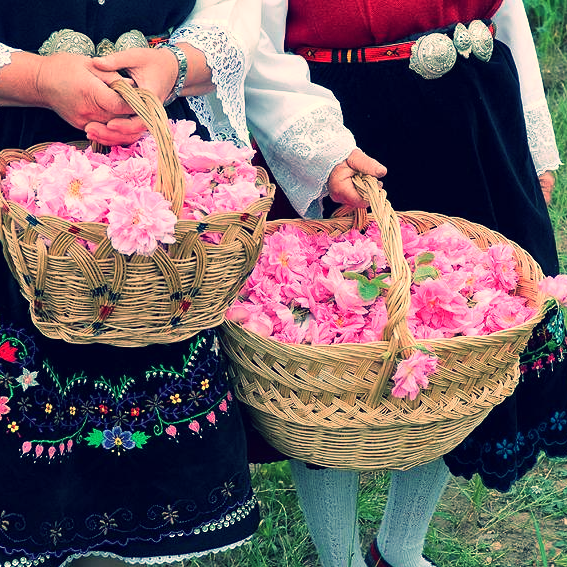 Bulgarian Rose Festival. (image from bulgariatravel.org)