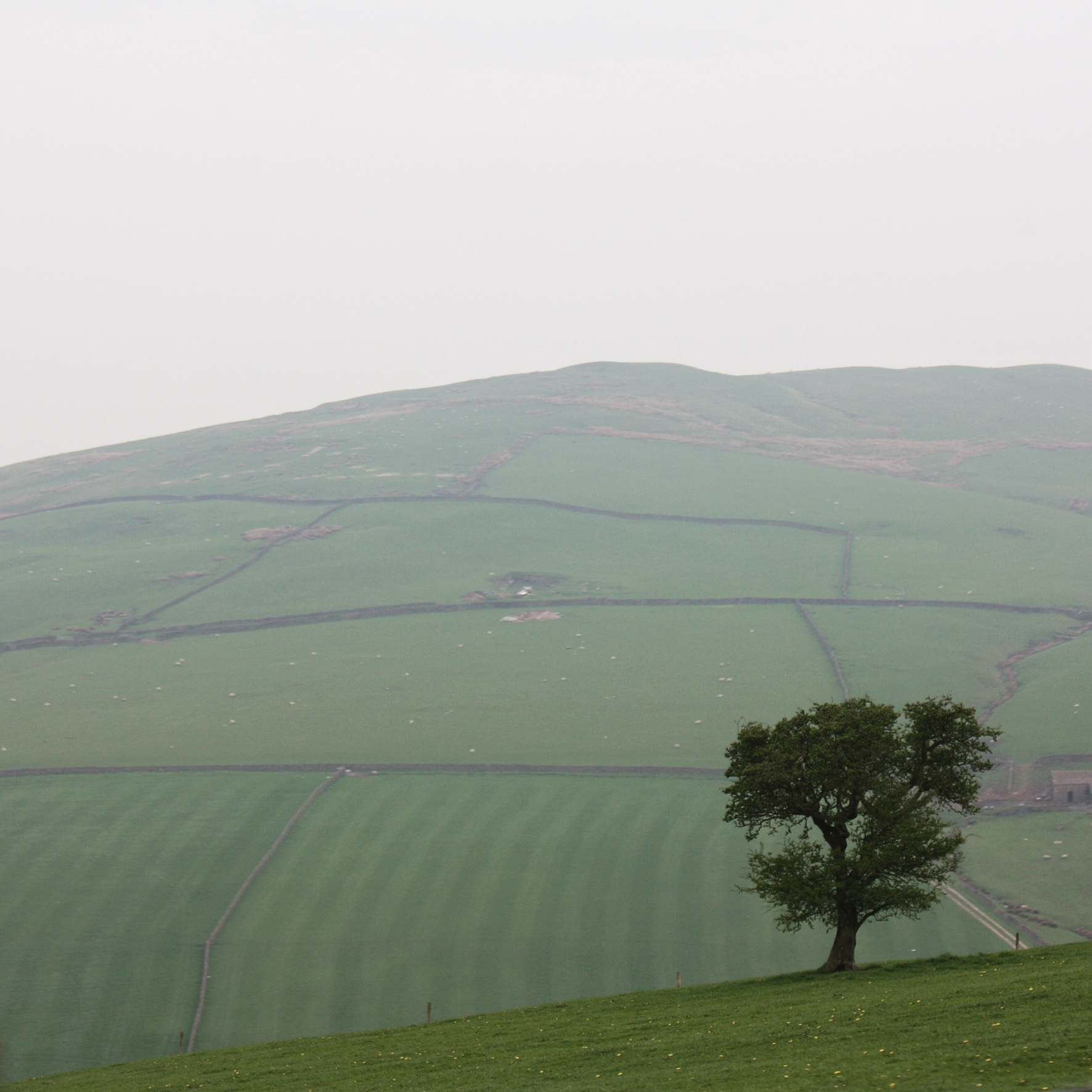 A lonely tree stands solitary and proud, just below the popular walking route of Shuttingsloe, Cheshire. From here you can tackle this great climb and at the top, see for miles in all directions. Instagram @garethmate 