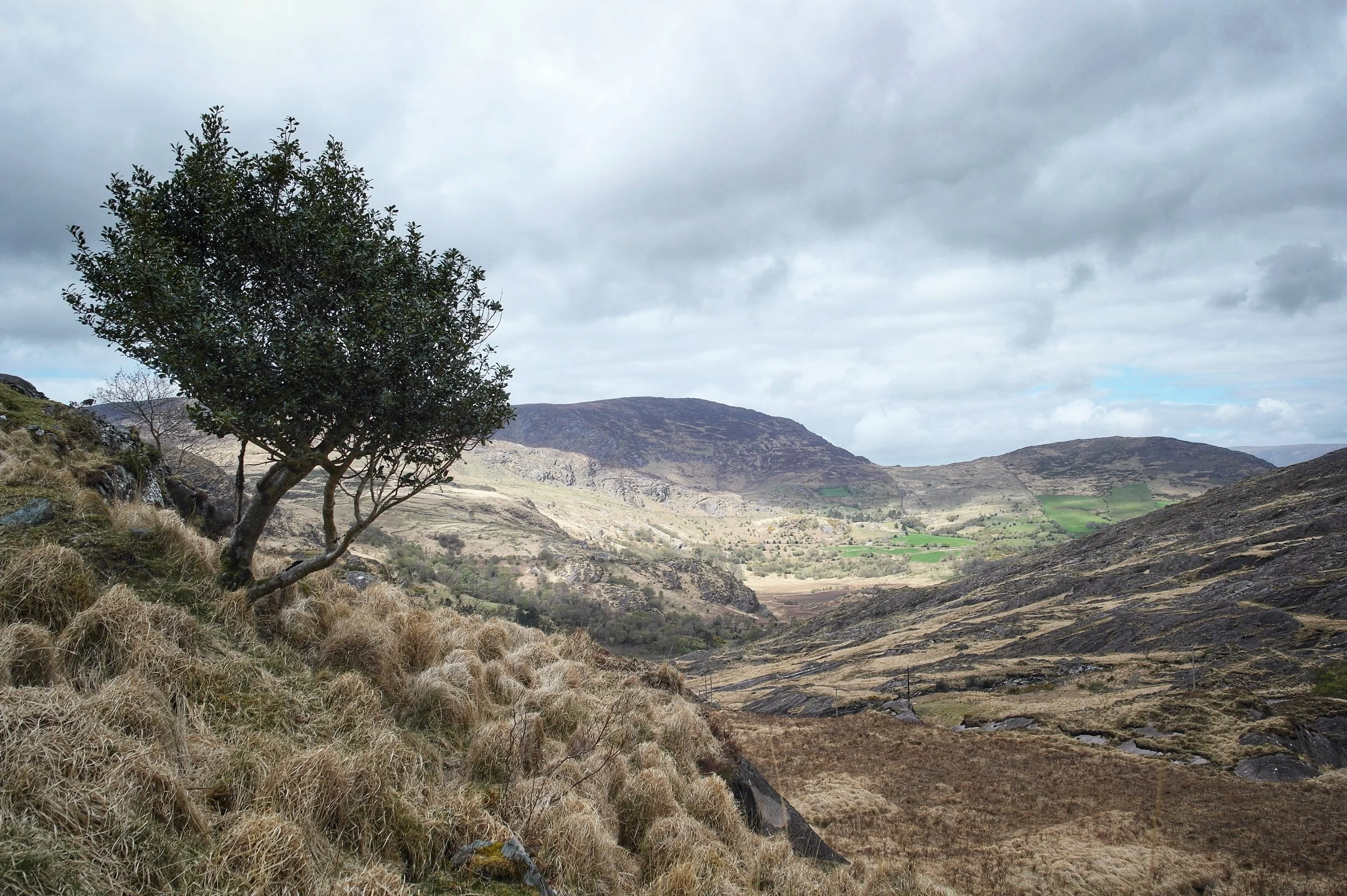 The Shehy Mountains of Southern Ireland. An amazing wilderness I only discovered this year. I would love to come back here again one day and explore some more.