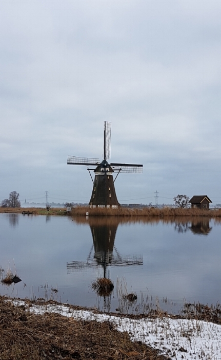 Typical Dutch. A route to work.