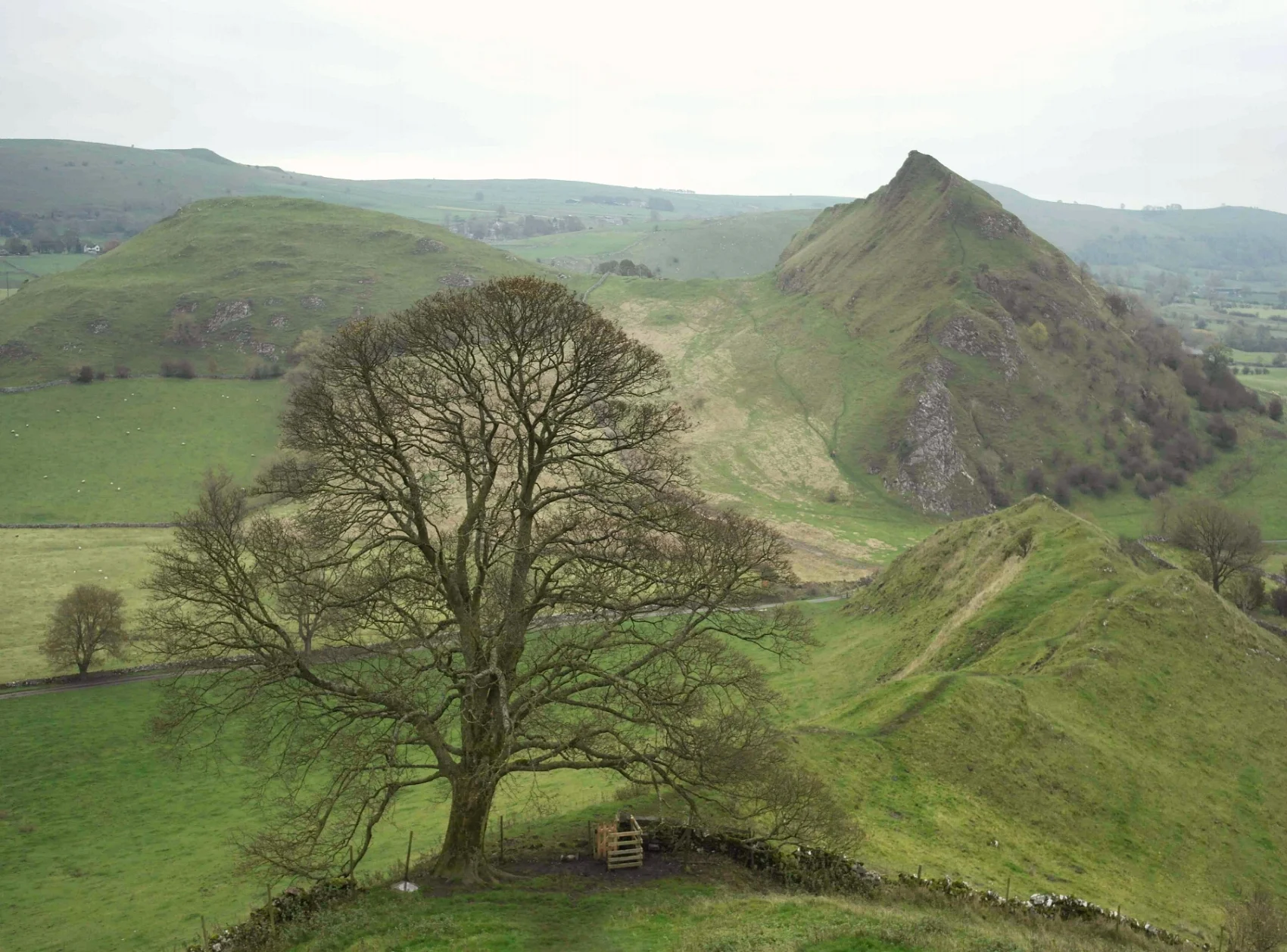 What a great view it is. Looking back towards (the smaller) Parkhouse Hill, as you slowly climb up the steepest part of Chrome Hill.