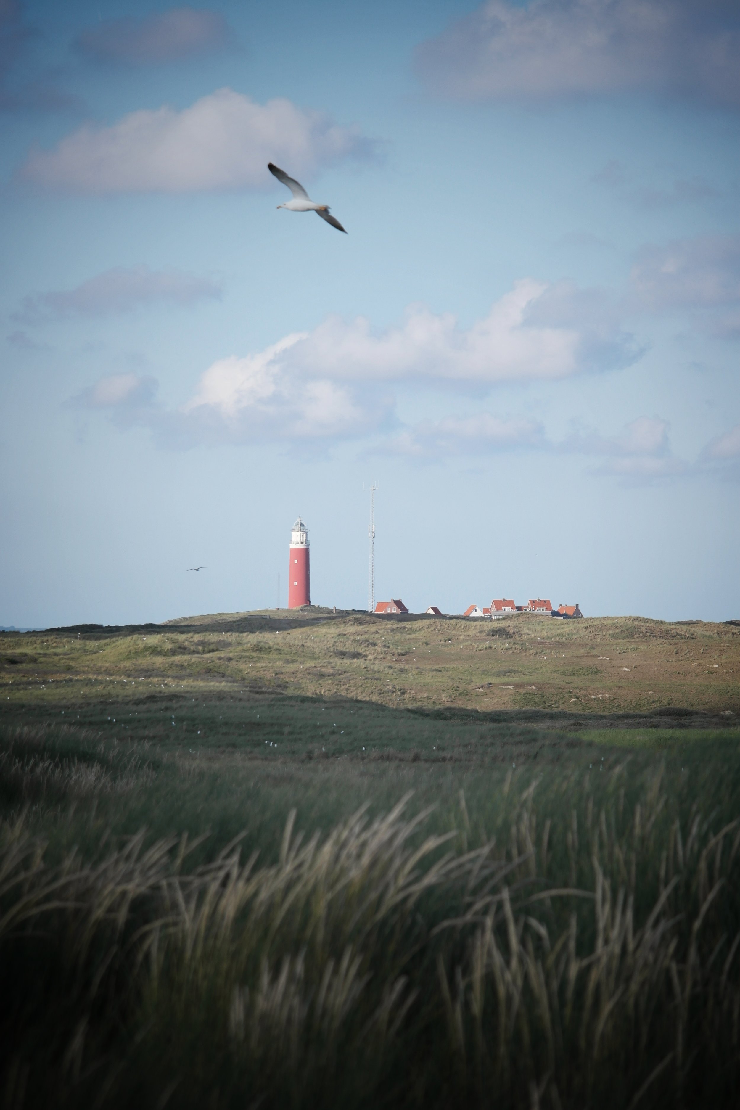 The Lighthouse at near to De Cocksdorp, signifies the end of the island, an amazing landscape feature and a brilliant place to visit. 