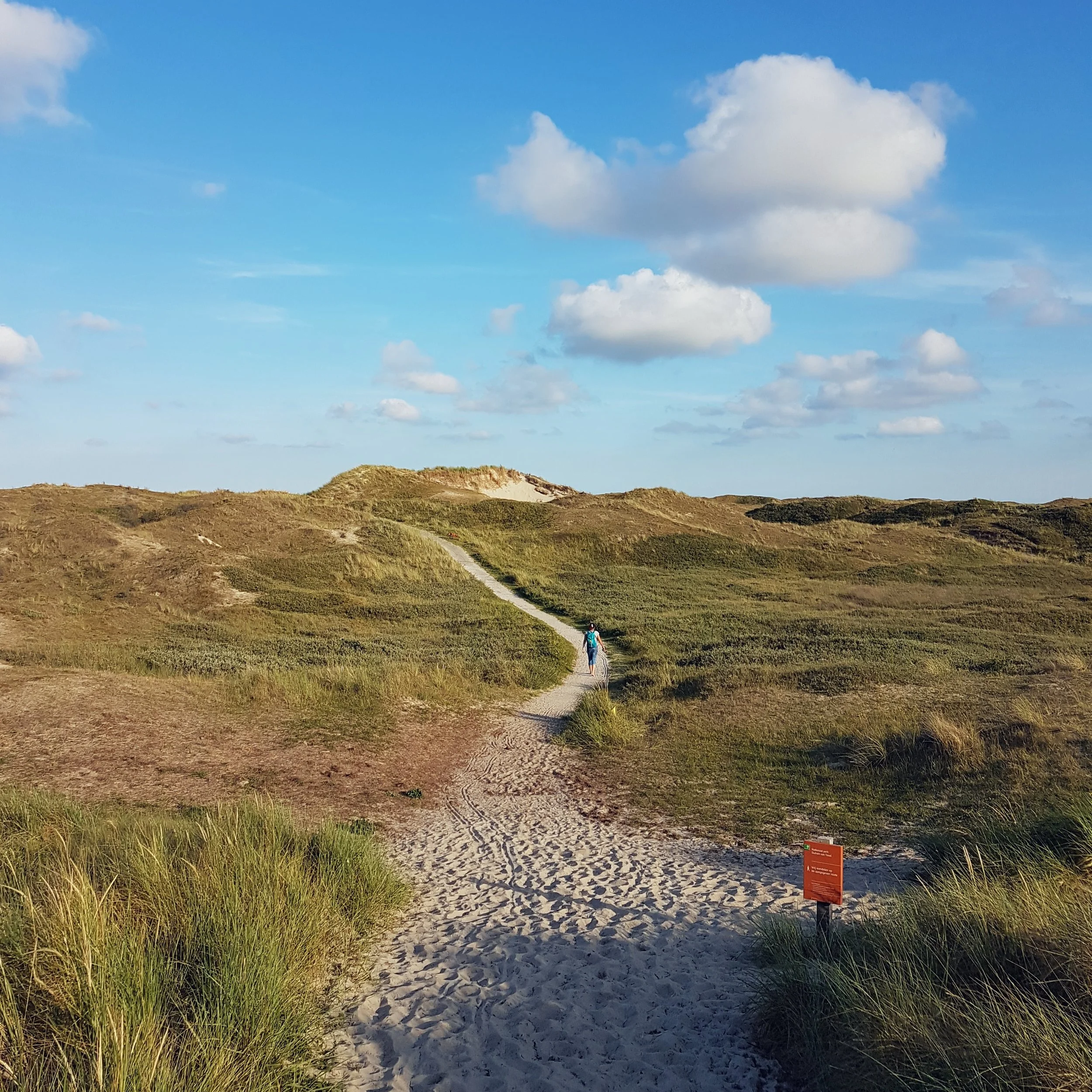 The dune area is pretty remarkable and it is a great place to wander and explore.
