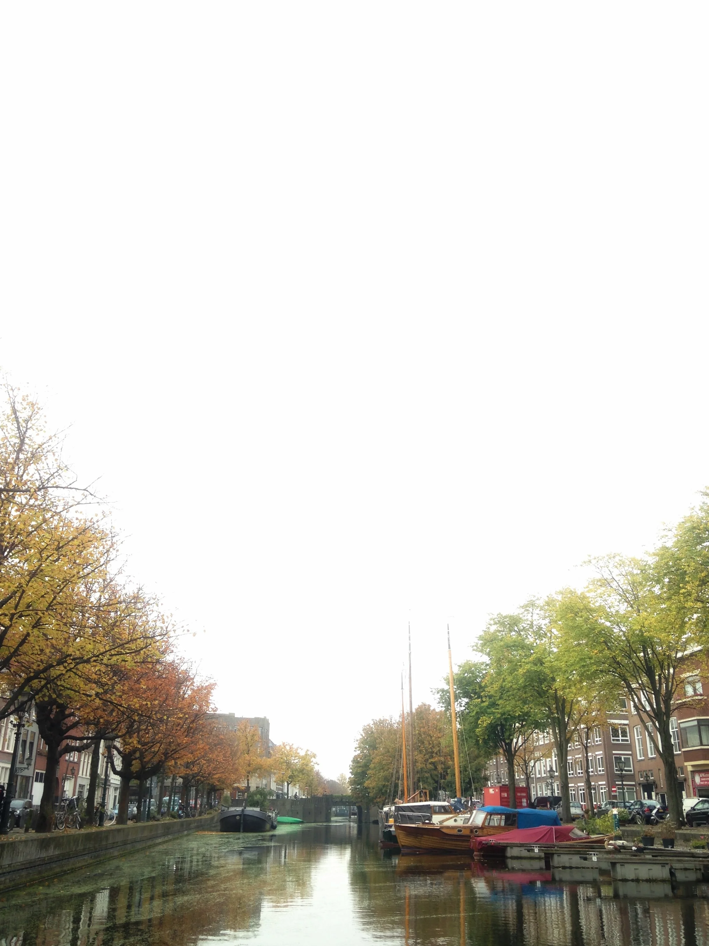 2016-10-26 10.12.40-01.jpeg