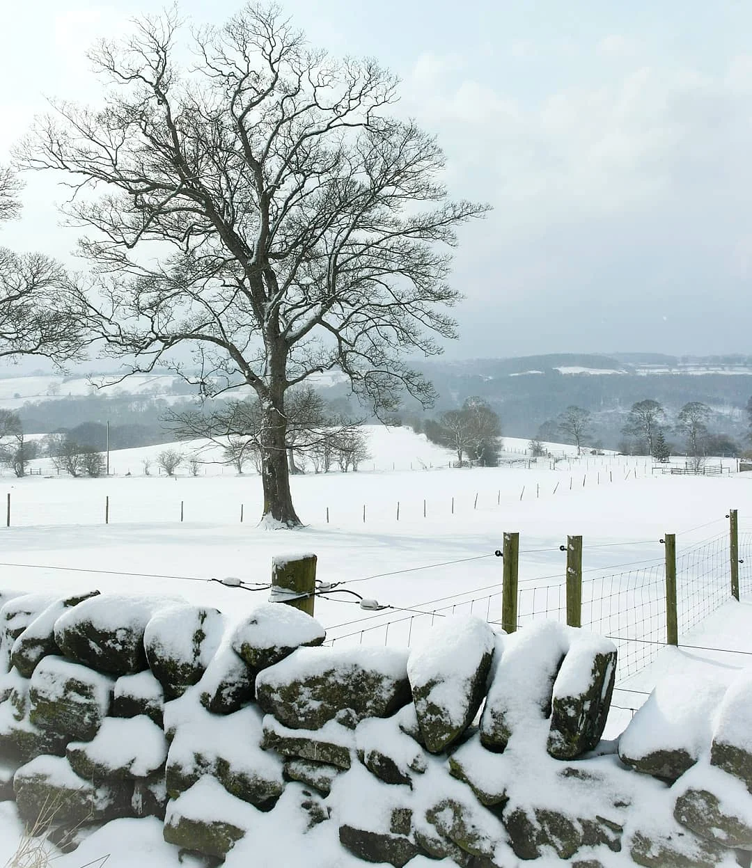 Soon after the almighty cloud burst and the resulting deluge of fresh snow. The landscape was left perfect and pristine. 