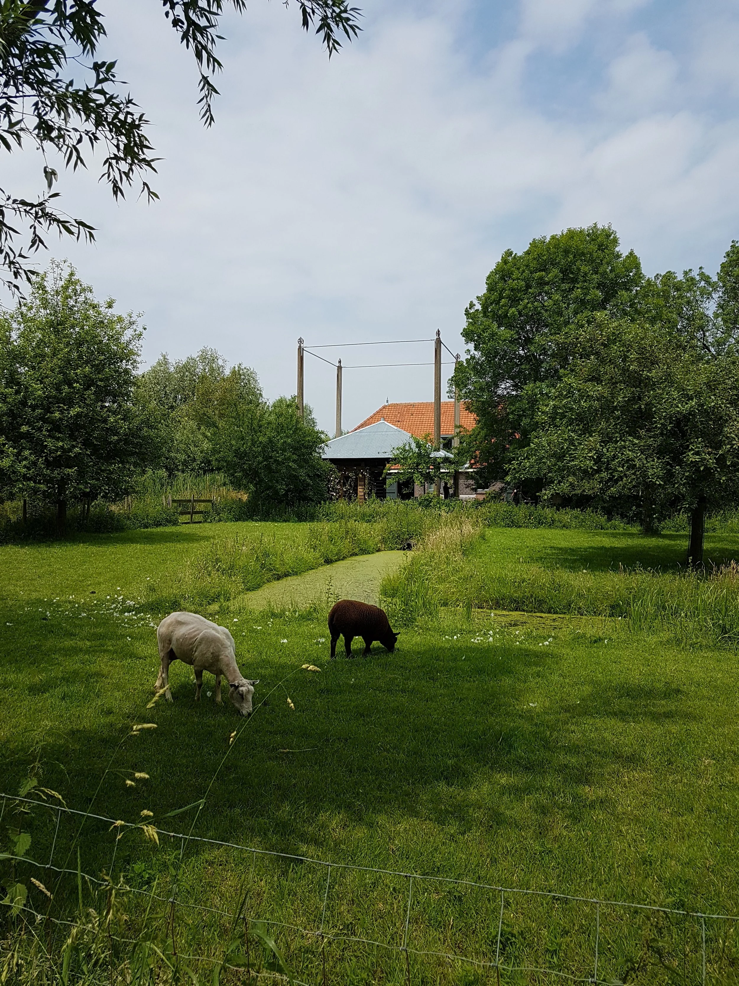 20180609_132158.jpg