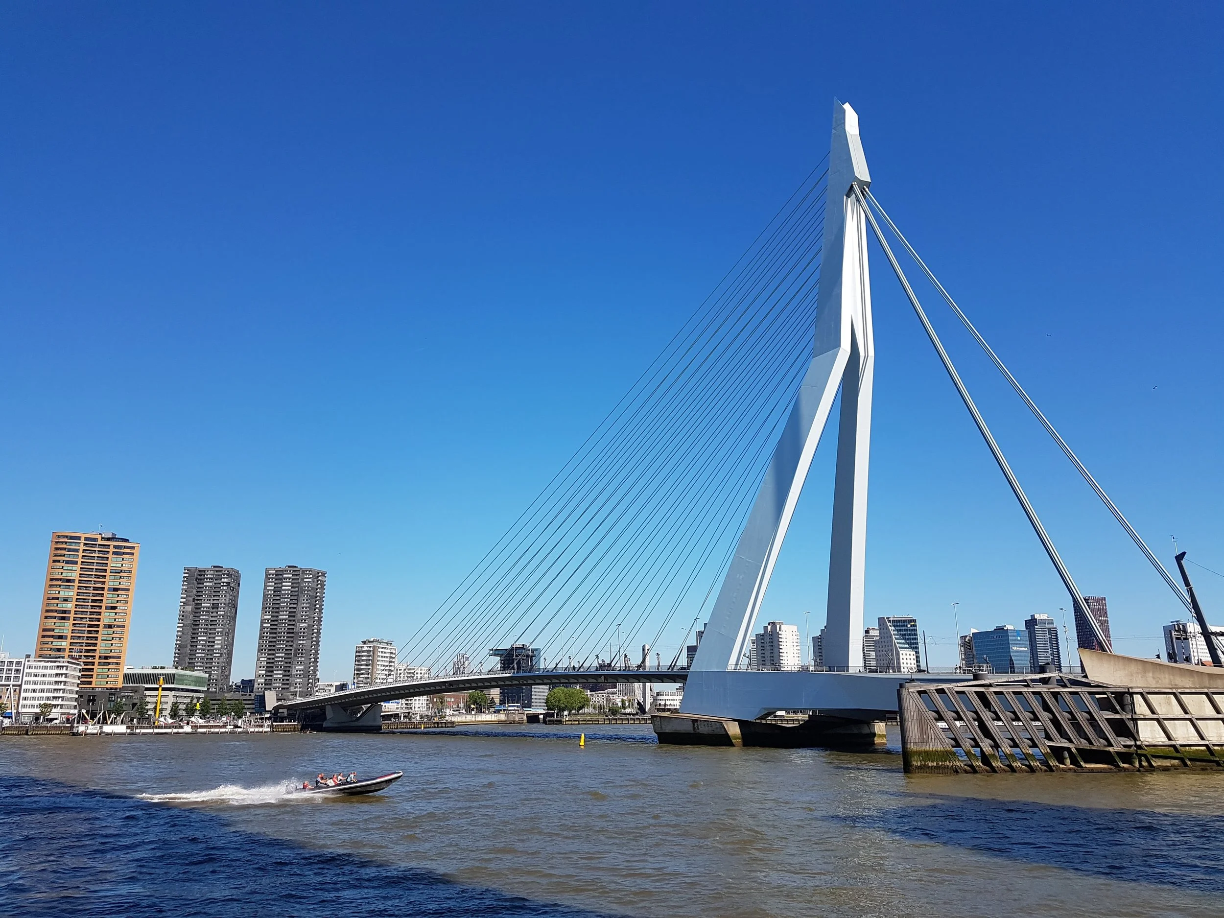20170527_104135.jpg