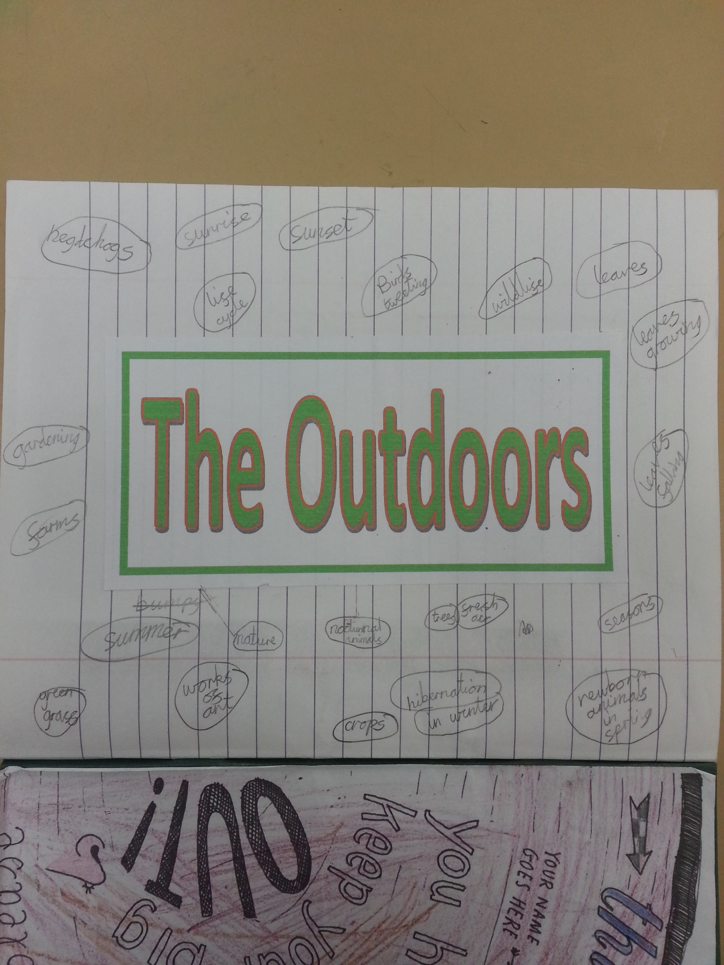 the outdoors (Copy)