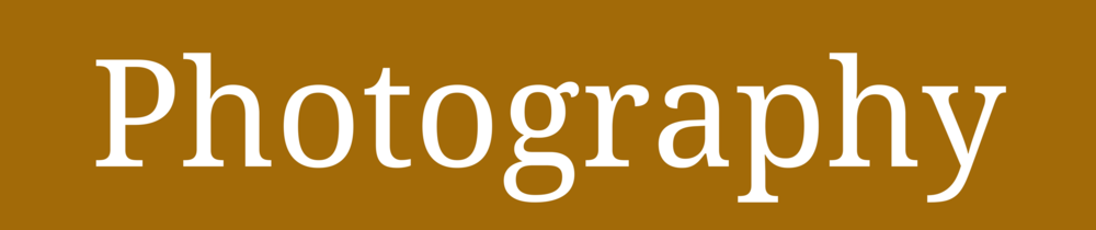 Autumn+(8).png