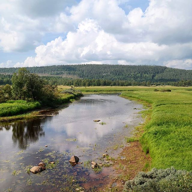 The mighty Torne river.

An impressive sight, and lifeline, weaving its way along the Swedish, Finnish border. 
#placestowanderandexplore #swedishlapland